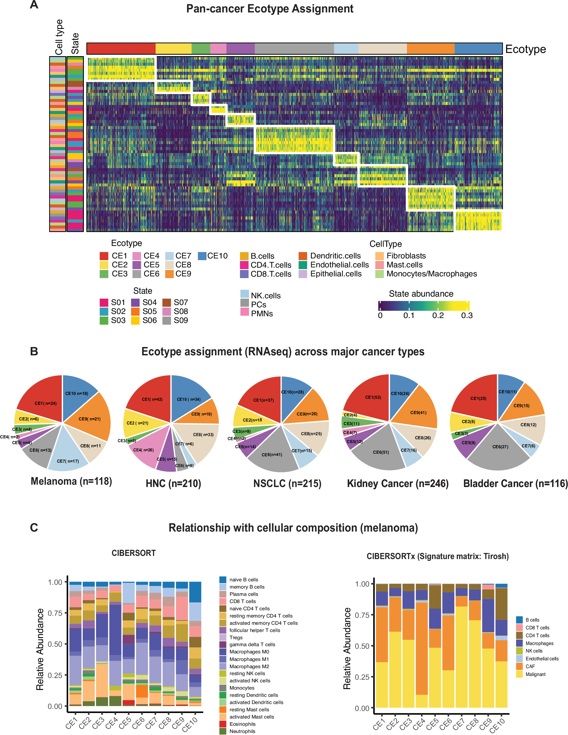 Fig. 1: Distribution of CEs in the pan-Cancer ORIEN IO cohort.