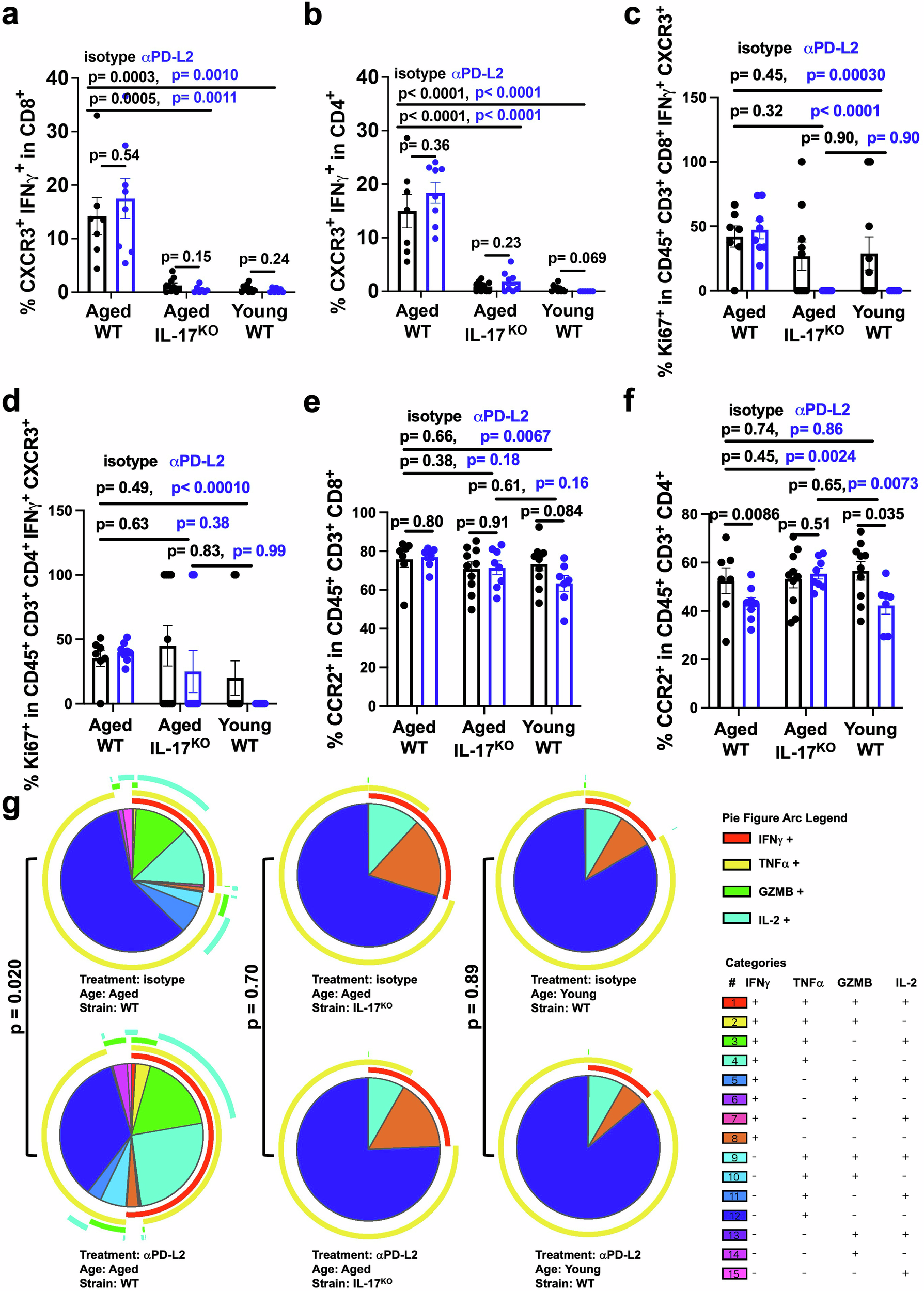 Fig. 4: Aged host IL-17 promotes conventional IFNγ+ T cell trafficking and αPD-L2-driven CD8+ T cell polyfunctionality in B16 melanoma.