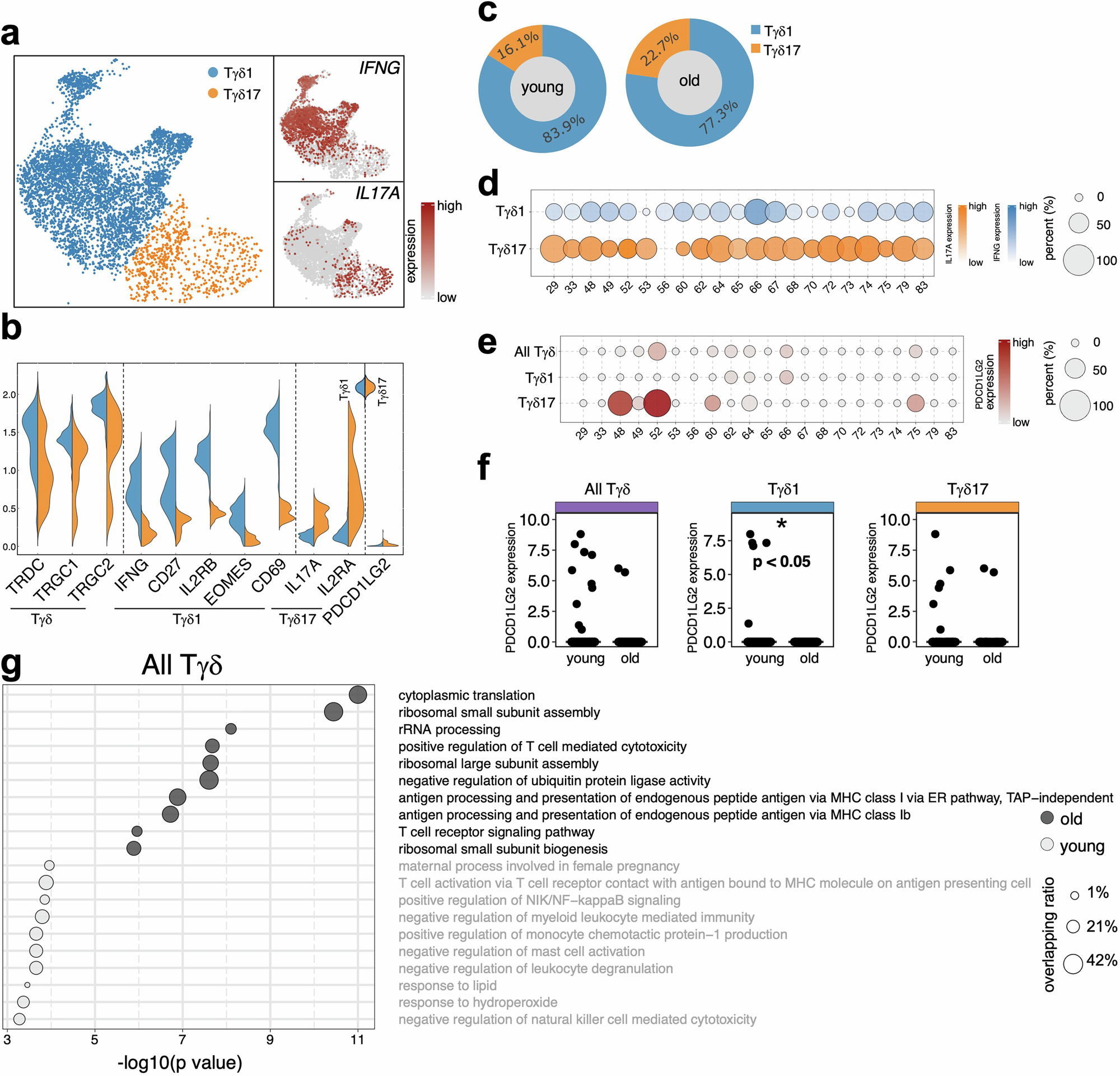 Fig. 6: Human γδ T cell dynamics in melanomas differ by host age.
