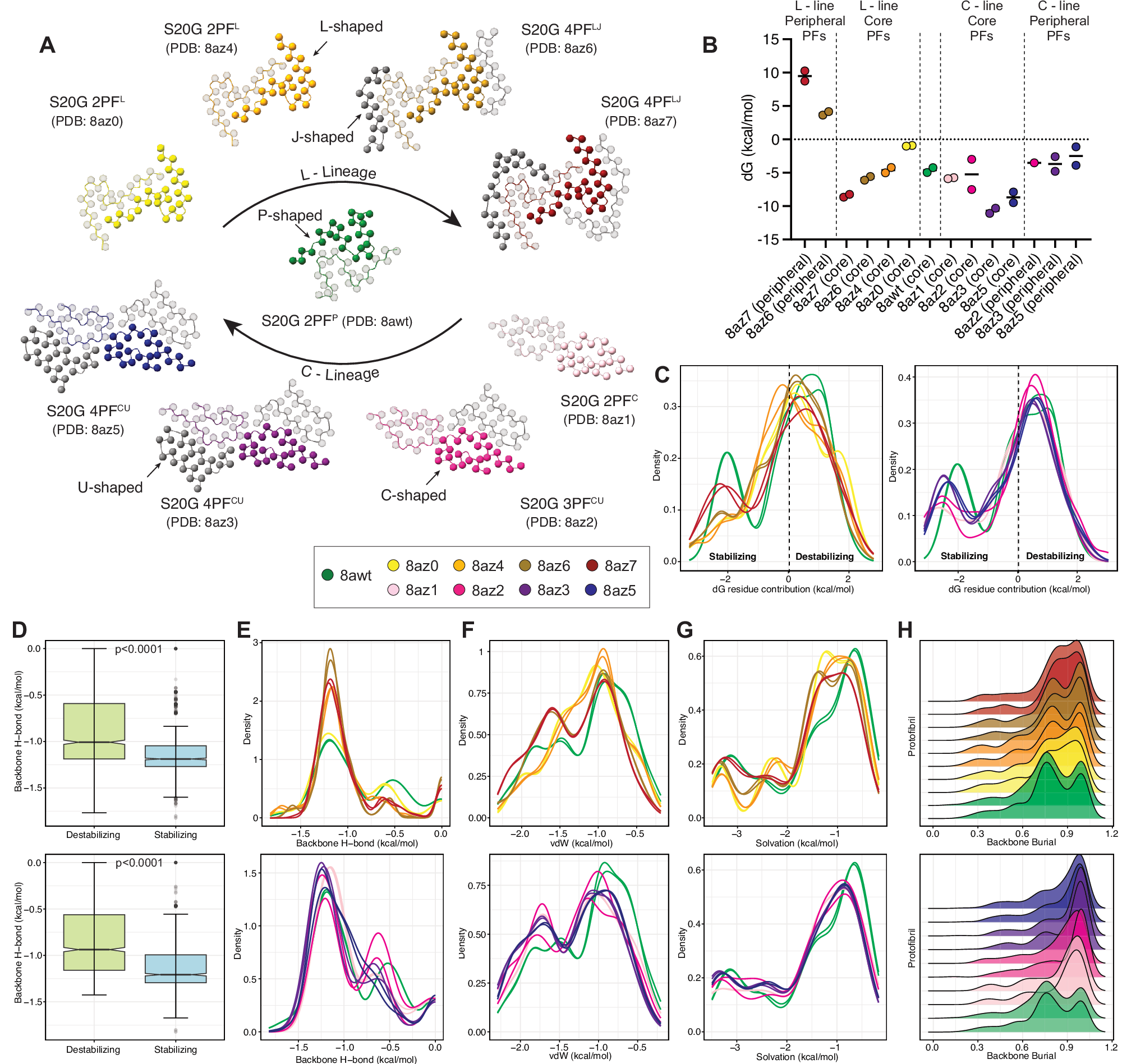 Fig. 1: Structural assessment of IAPP intermediate protofilaments.