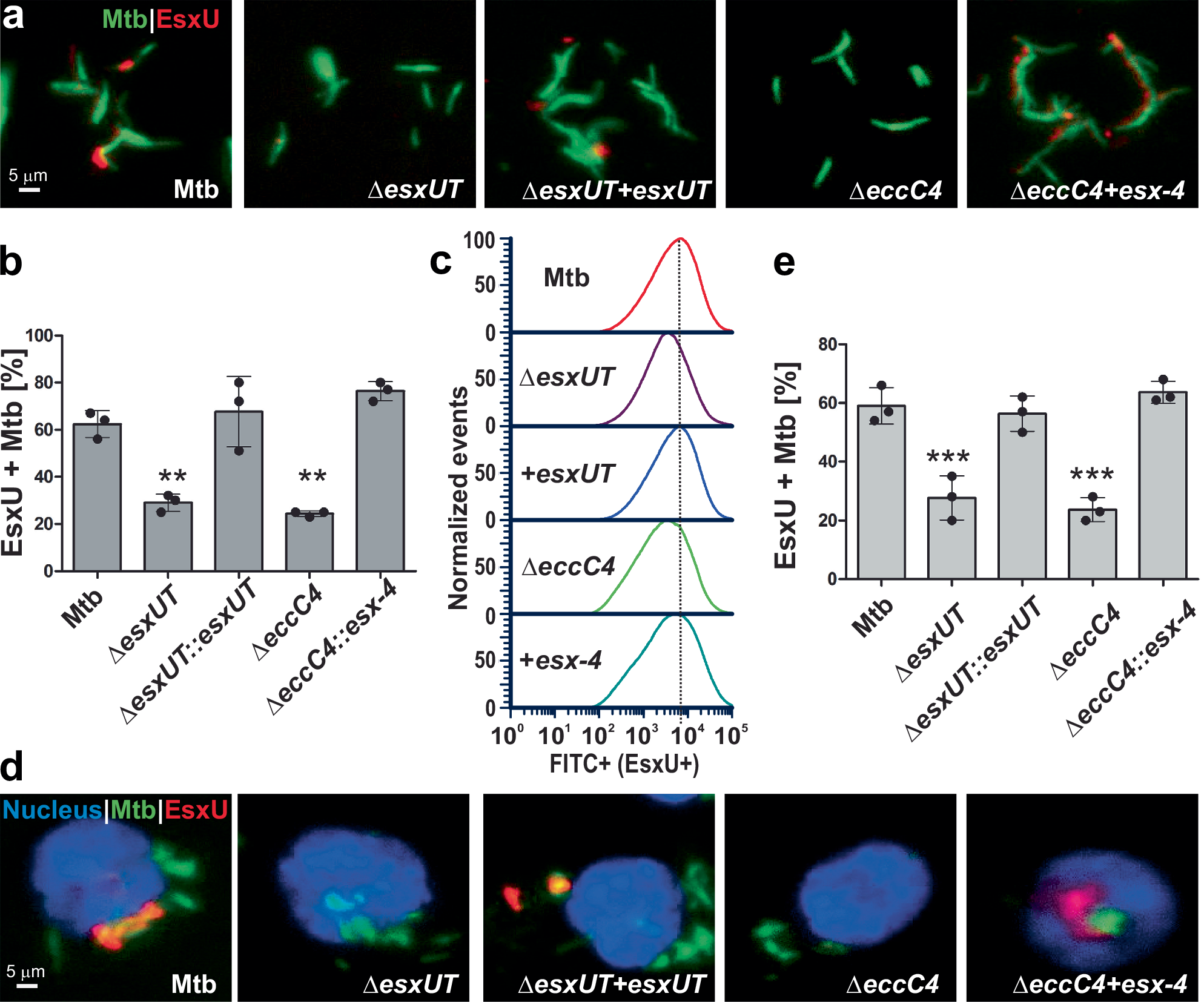 Hubbard, J. H. Hubbard, B. B. Vector Calculus Linear Algebra and  Differential Forms - A Unified Approach (Prentice Hall 698S) | PDF, image size:1988x1655