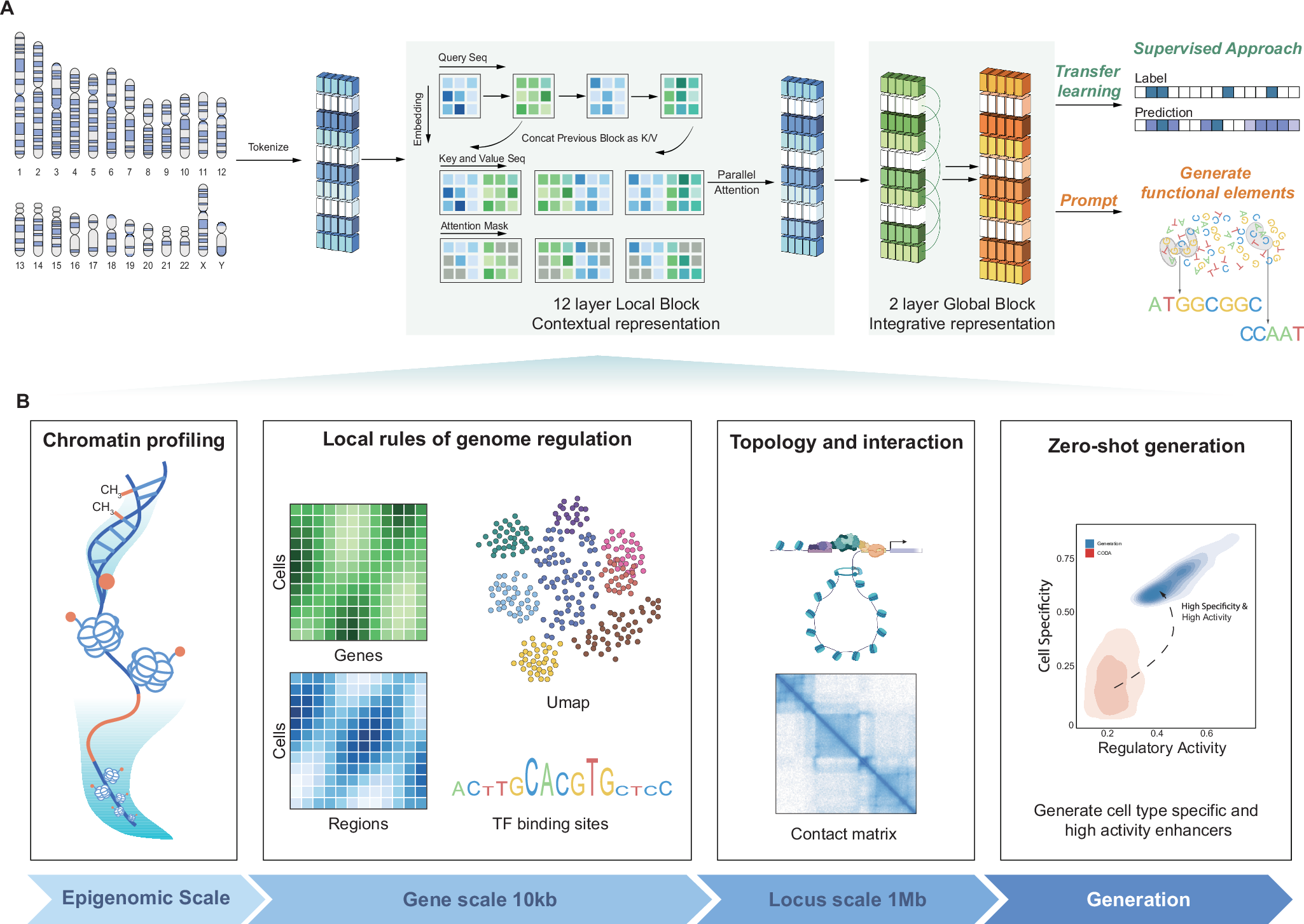 Fig. 1: The schematic overview of the pretraining framework.