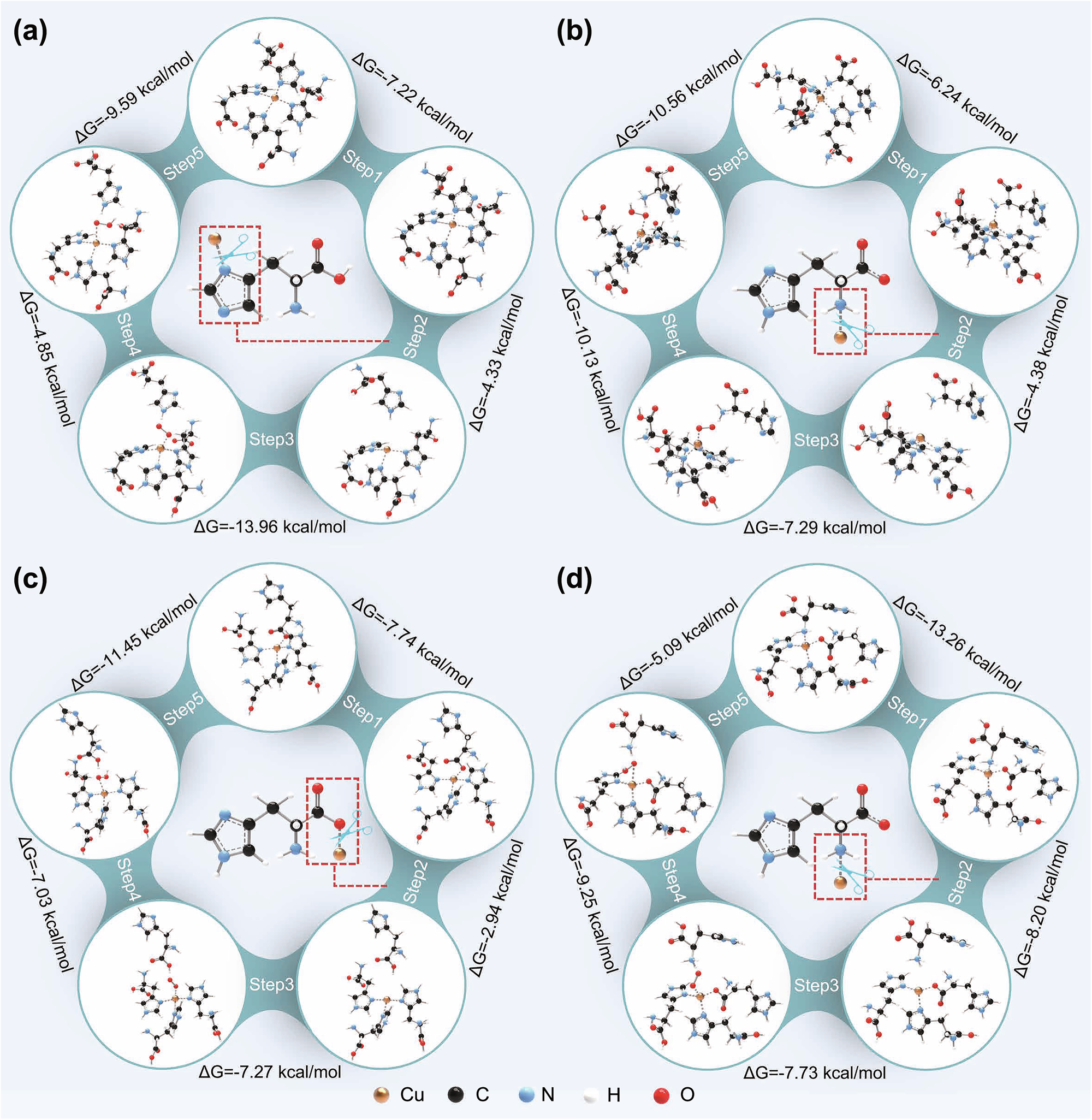 Fig. 3: Comparison of the ΔG of each step of the reaction catalyzed by Cu sites with different structures.