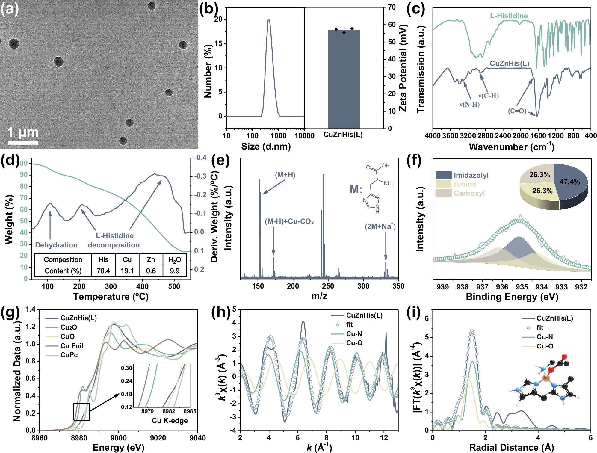 Fig. 4: Characterization of the morphology, composition and structure of CuZnHis(L) assemblies.