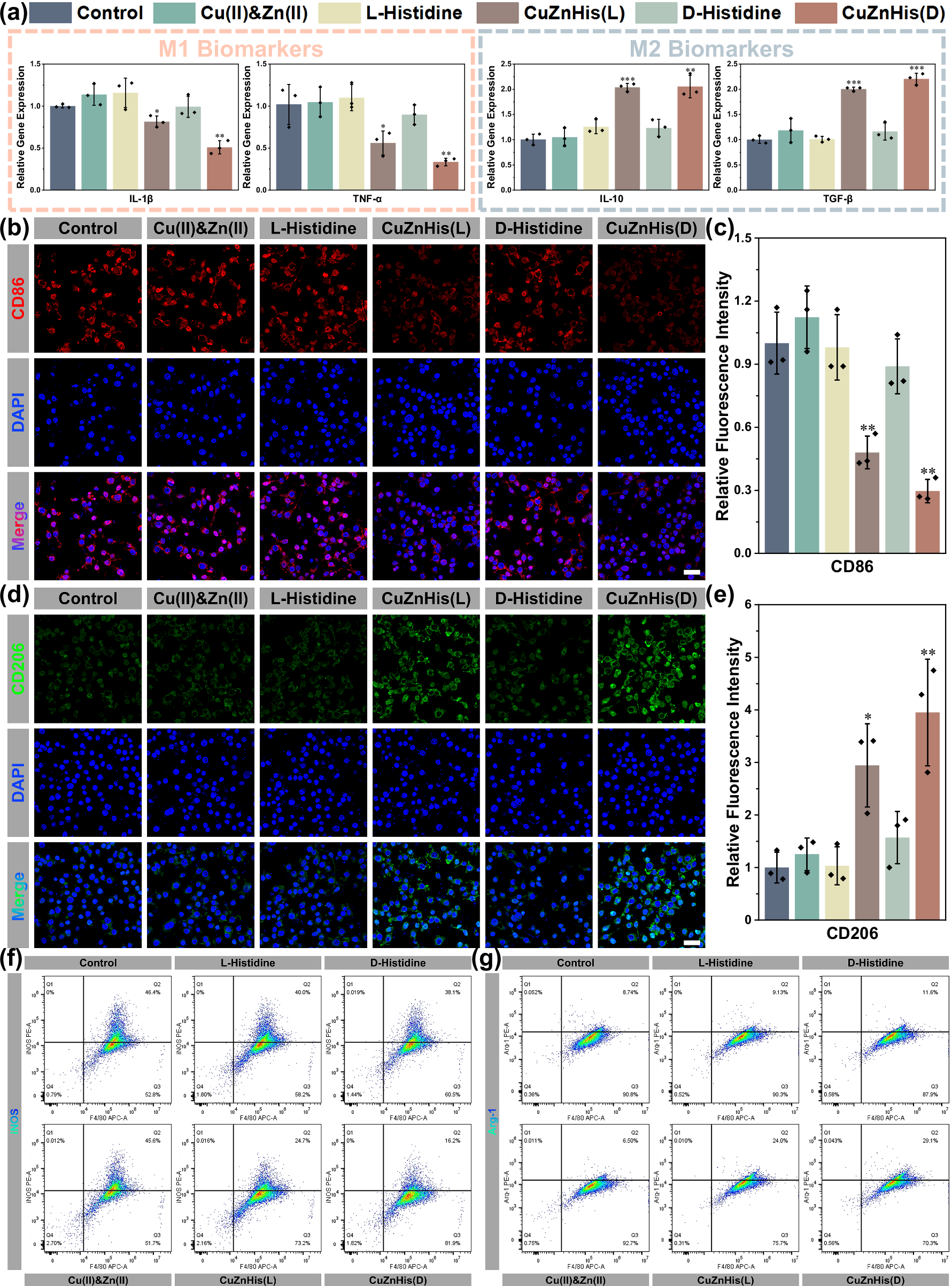 Fig. 6: Effect of CuZnHis assemblies on the expression of inflammatory factors in macrophages.