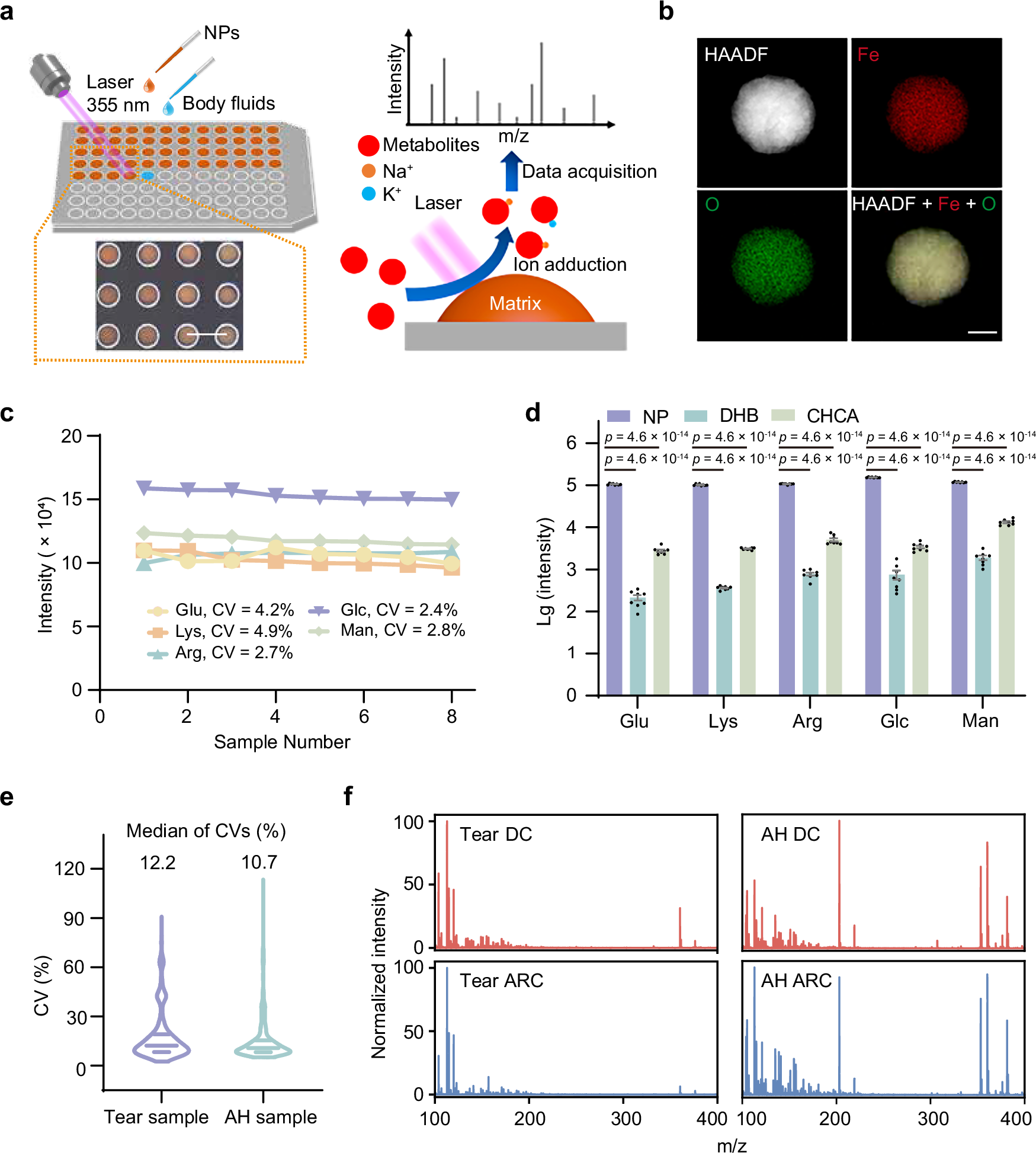 Fig. 2: Construction of the NELDI-MS platform for metabolic analysis.