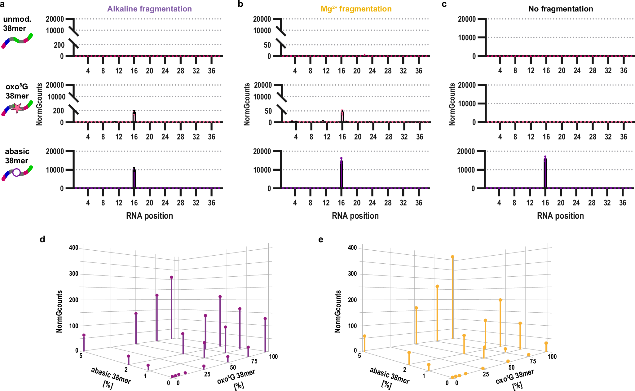 Fig. 4: Abasic Sites, not oxo⁸G, dominate aniline cleavage–dependent RNA oxidation signals.