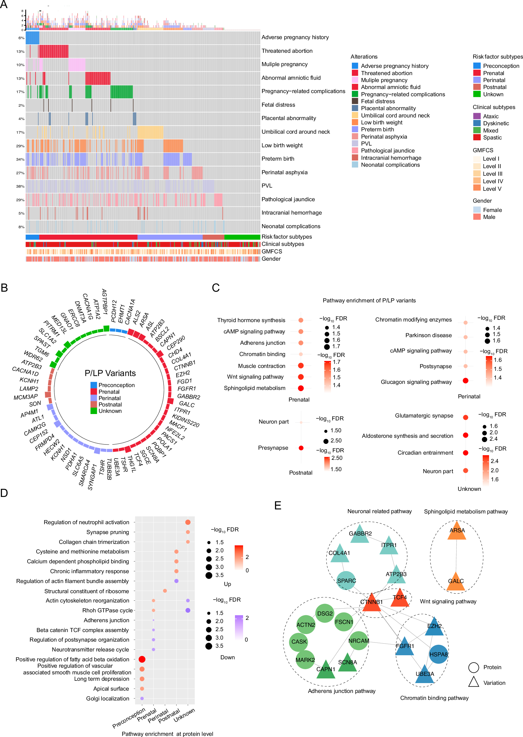 Fig. 3: Characteristics of variants and serum proteins associated with various risk factor types.
