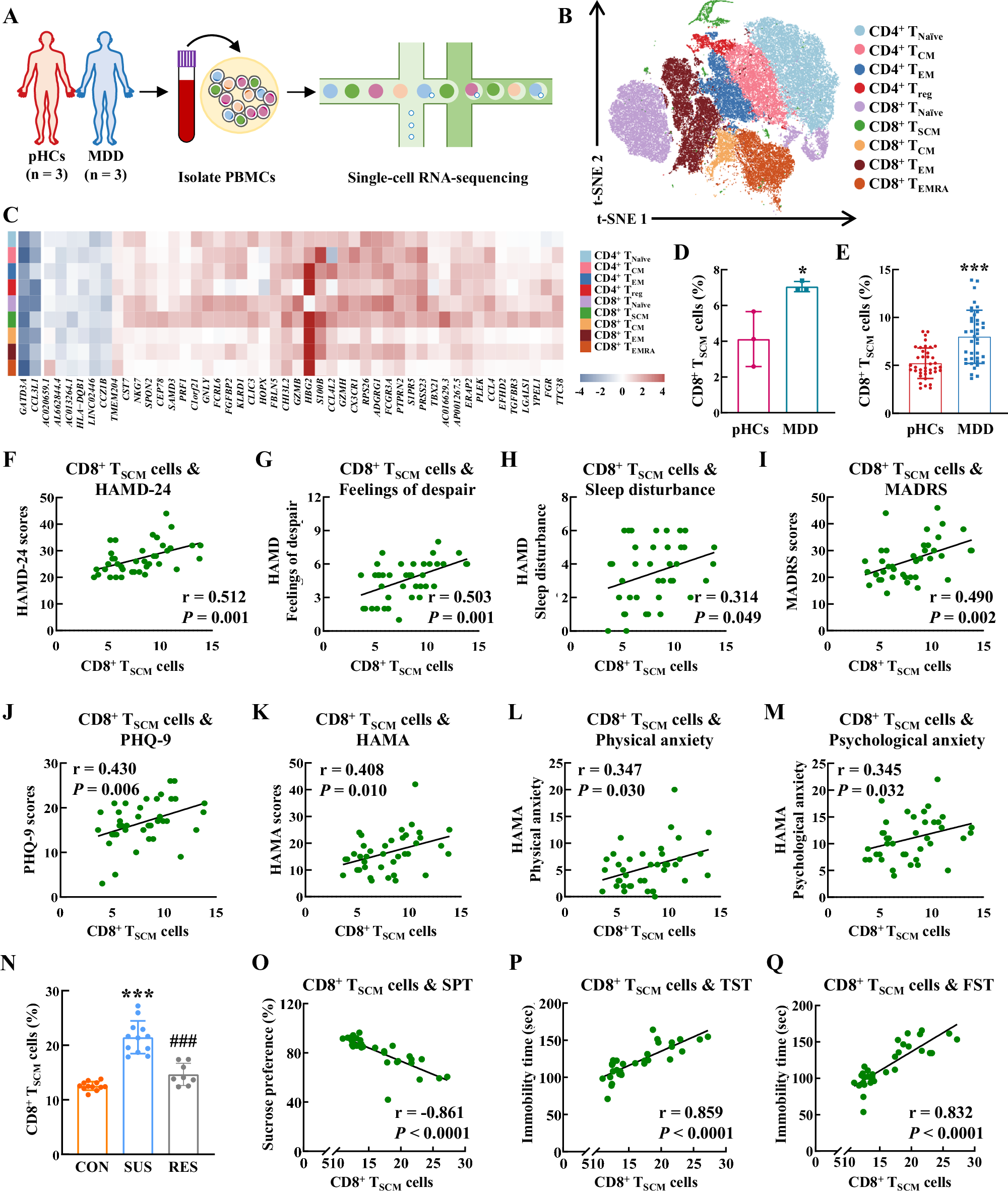 Fig. 2: CD8+ TSCM cells increased host stress susceptibility.