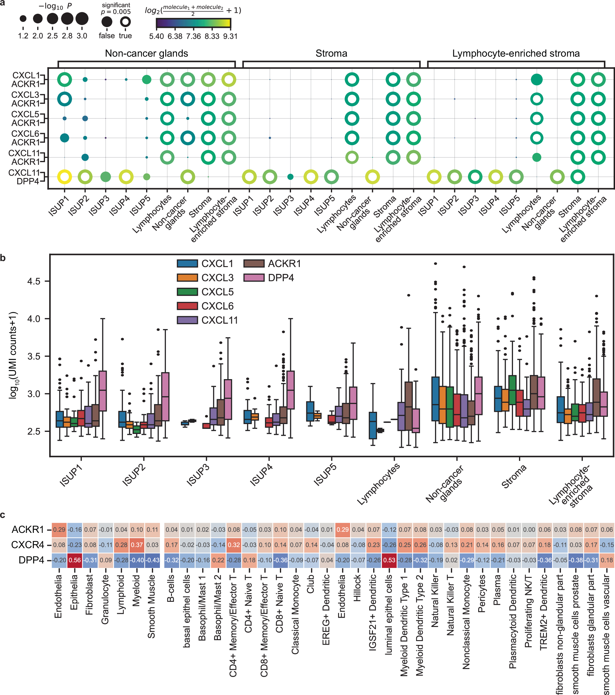Fig. 4: Chemokine receptor-ligand interaction in tissue from patients with aggressive PCa.