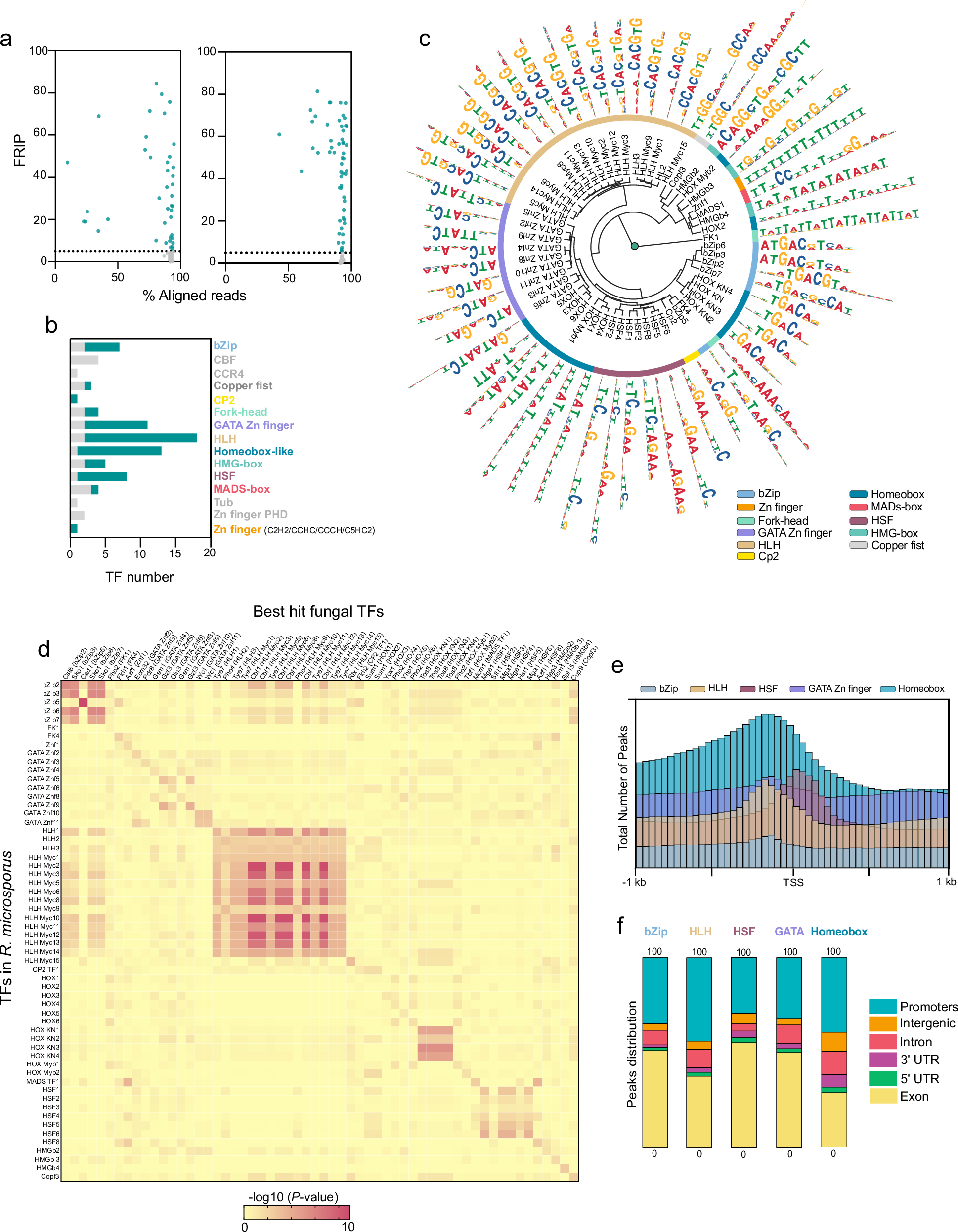 Fig. 2: R. microsporus cistrome.