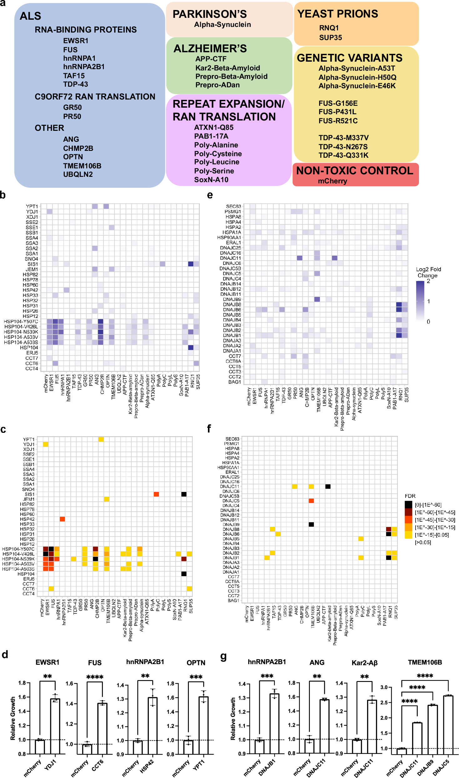 Fig. 1: Screening of molecular chaperones from yeast and humans for their ability to rescue the proteotoxicity of various neurodegenerative disease and protein misfolding models.