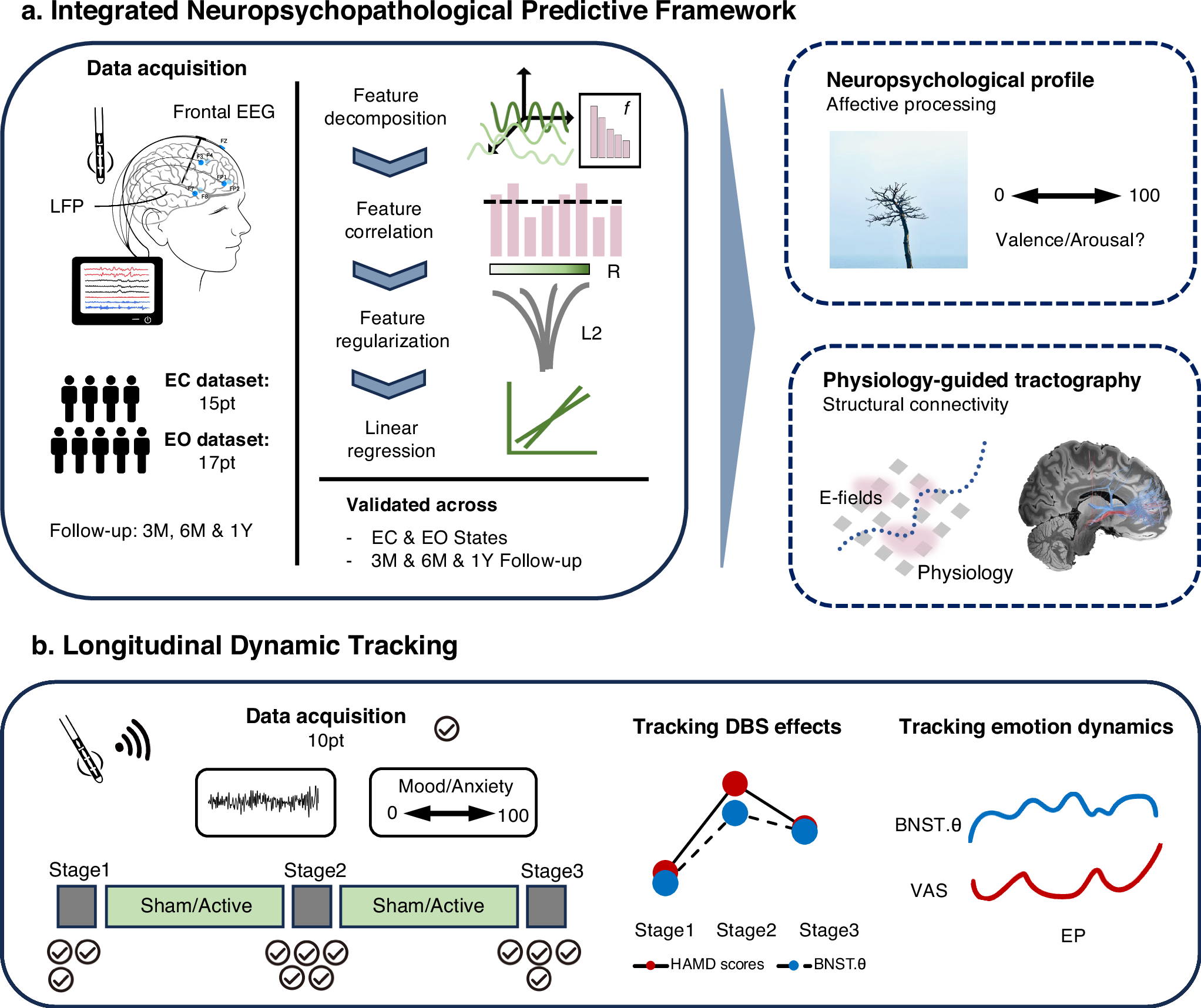 Fig. 1: Study overview.