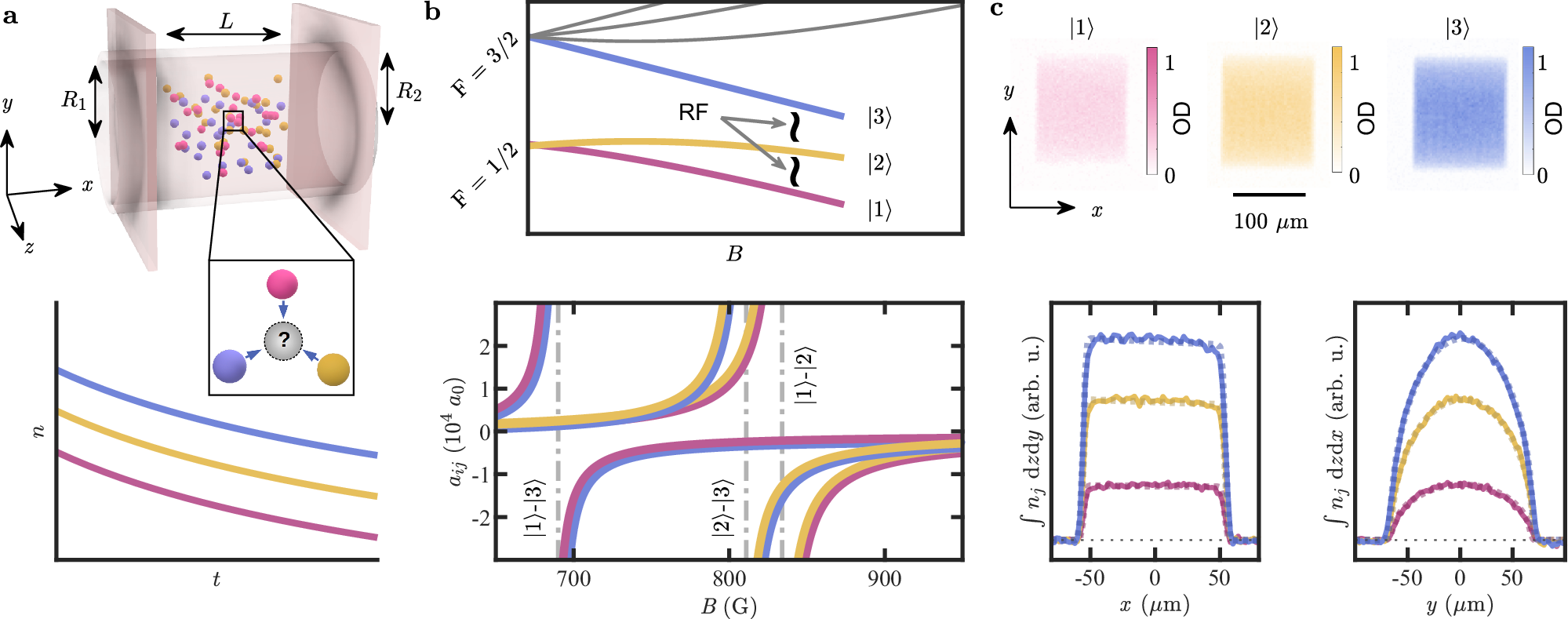 Fig. 1: Preparation of a homogeneous three-component Fermi gas.