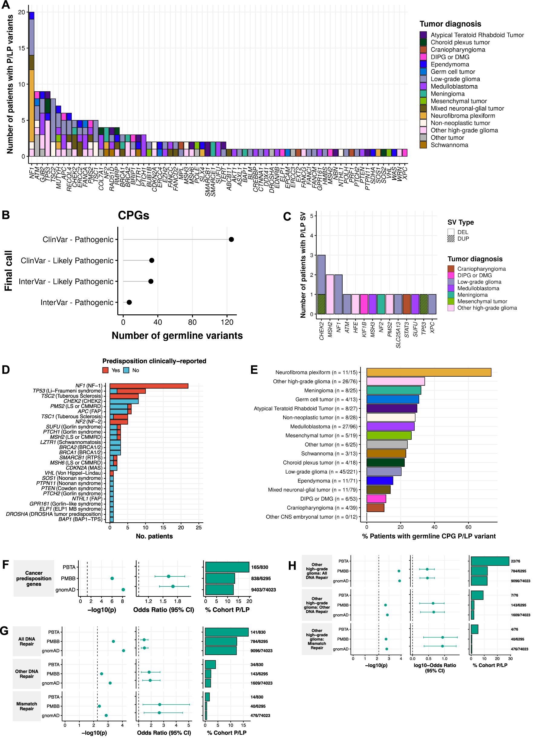 Fig. 2: Prevalence of cancer predisposition gene germline P/LP variants in pediatric CNS tumor patients.
