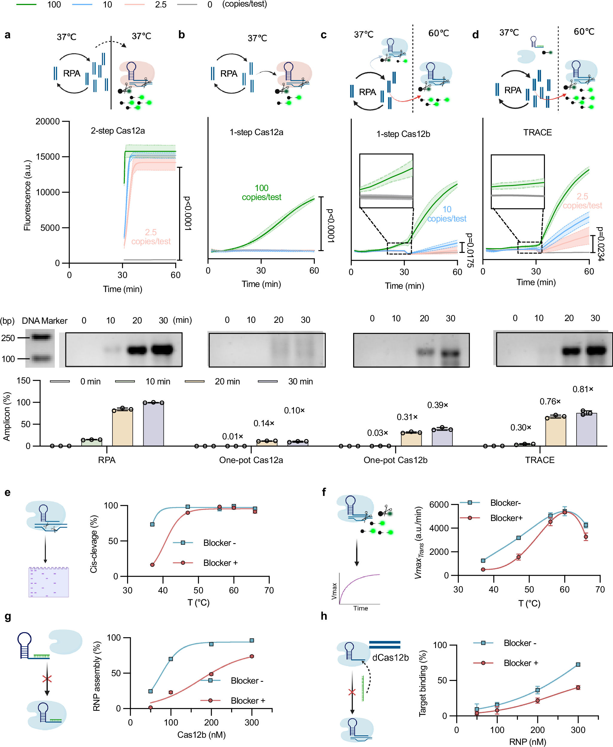 Fig. 2: Mechanistic of the TRACE assay.
