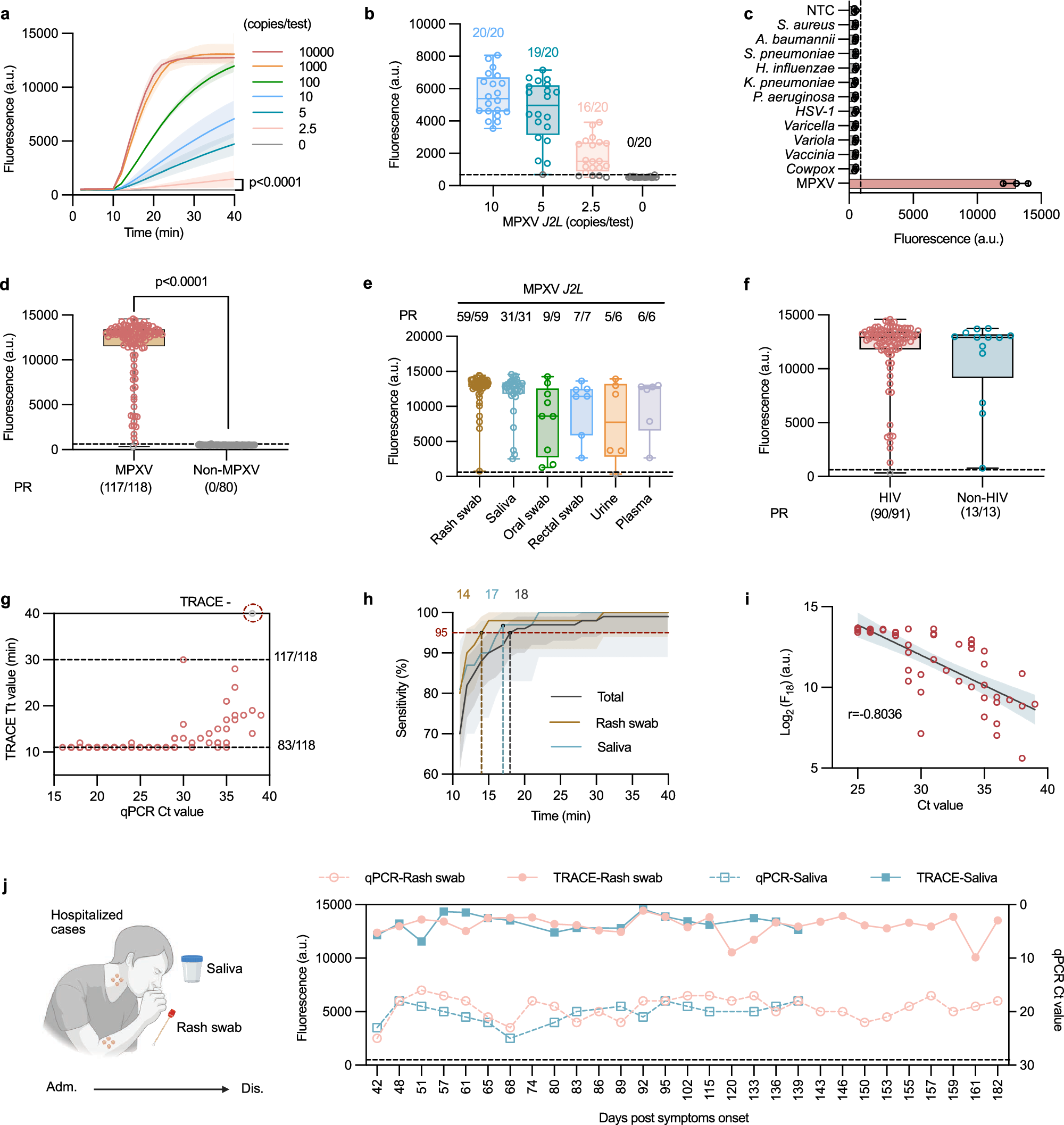 Fig. 3: Analytical and clinical characterization of the MPXV TRACE assay.