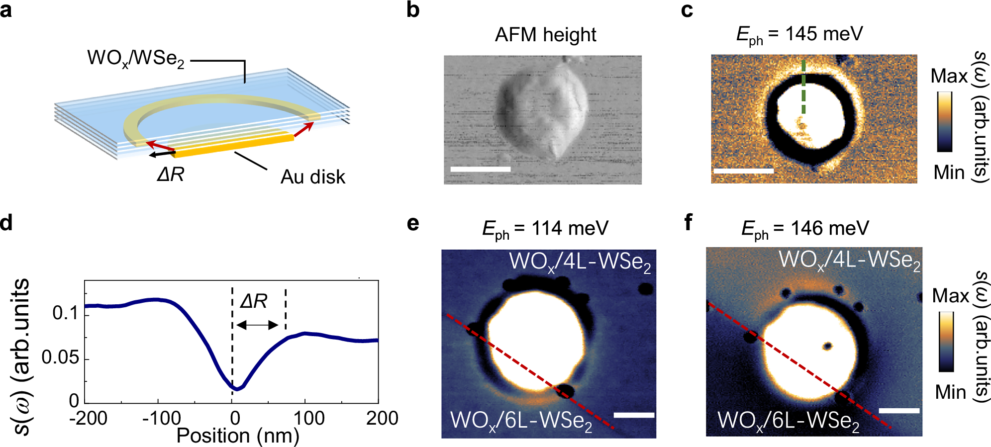 Fig. 3: Hyperbolic ISP revealed by nano-imaging on Au nanodisk.