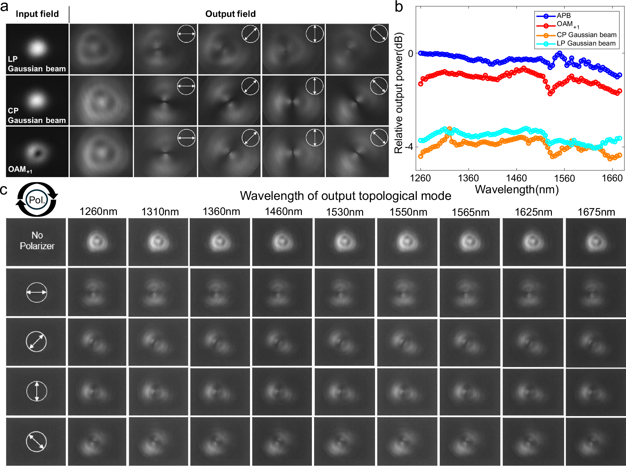 Fig. 4: Measured output field intensity distributions of the Dirac-vortex topological PCF under different incident beams and wavelengths.