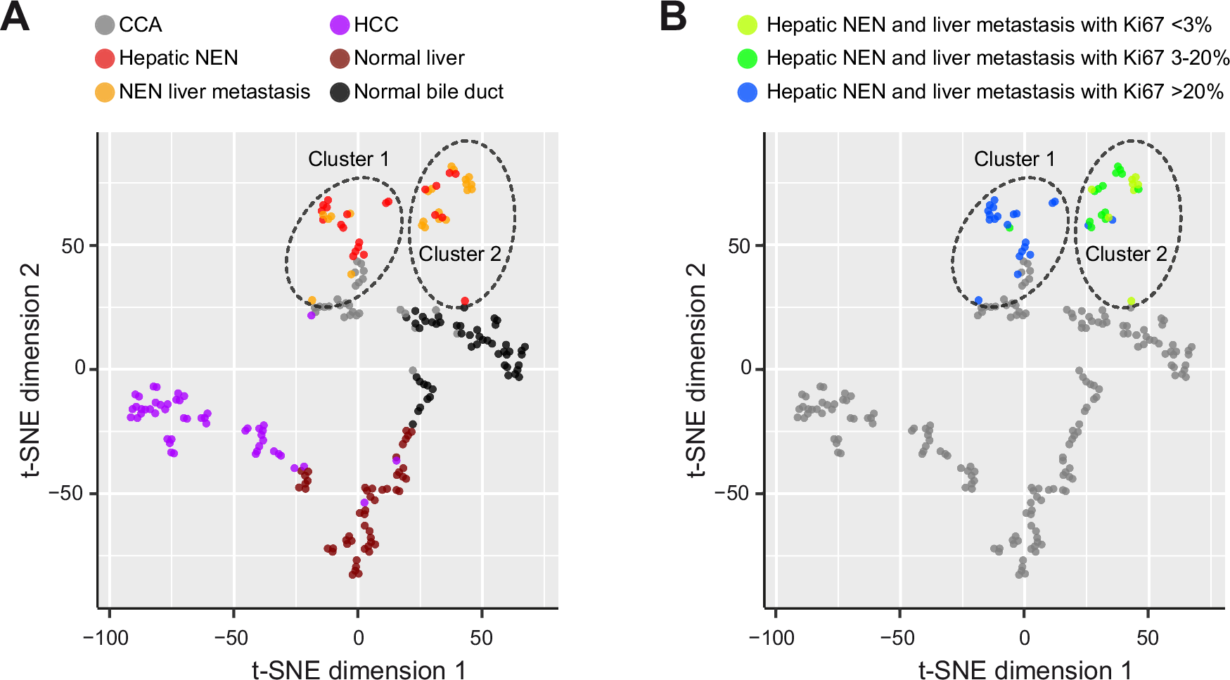 Fig. 3: DNA methylation analysis reveals distinct clusters of hepatic NEN, HCC and CCA.