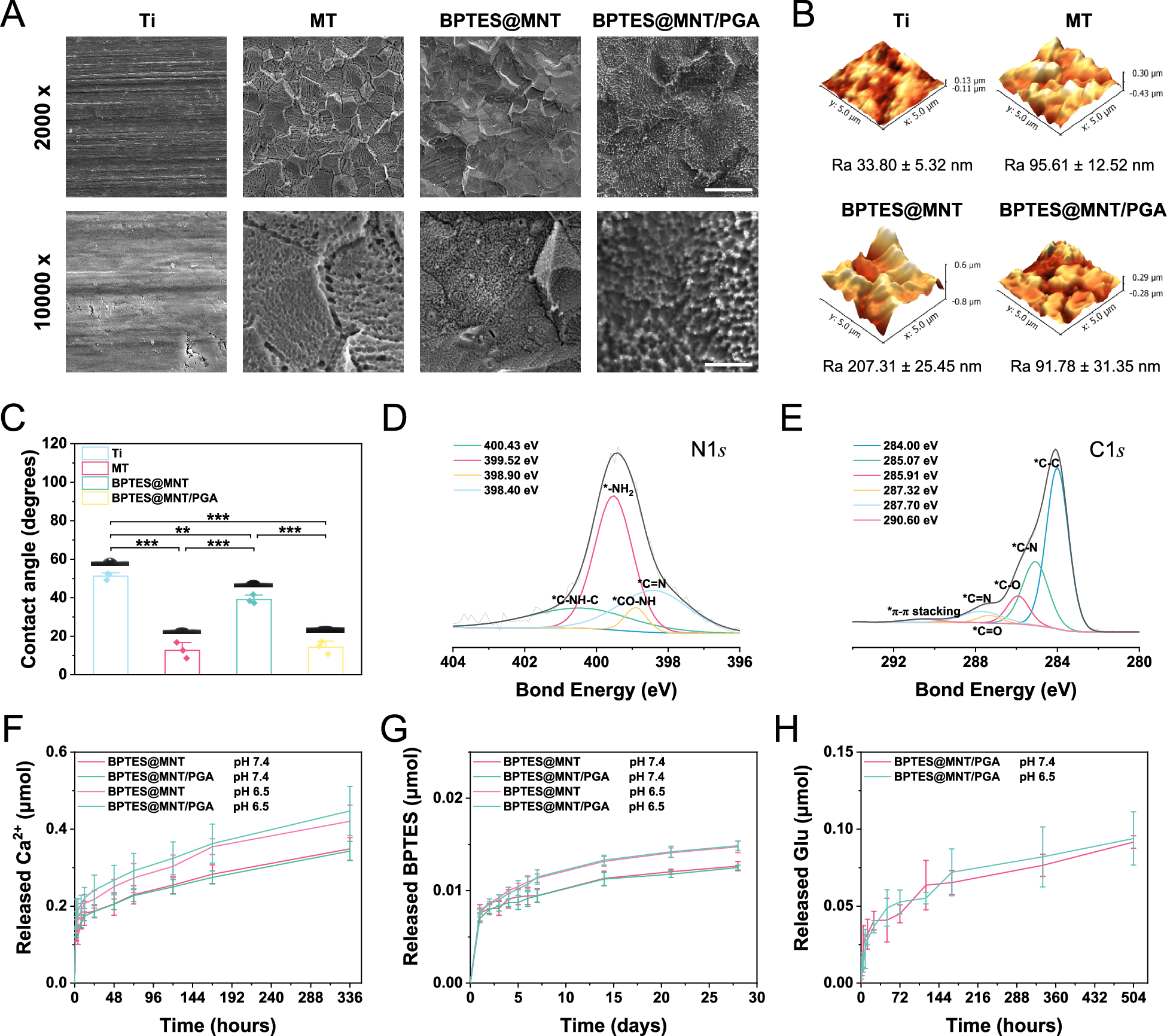 Fig. 2: Characterization of BPTES@MNT/PGA and the release kinetics at implant interfaces.