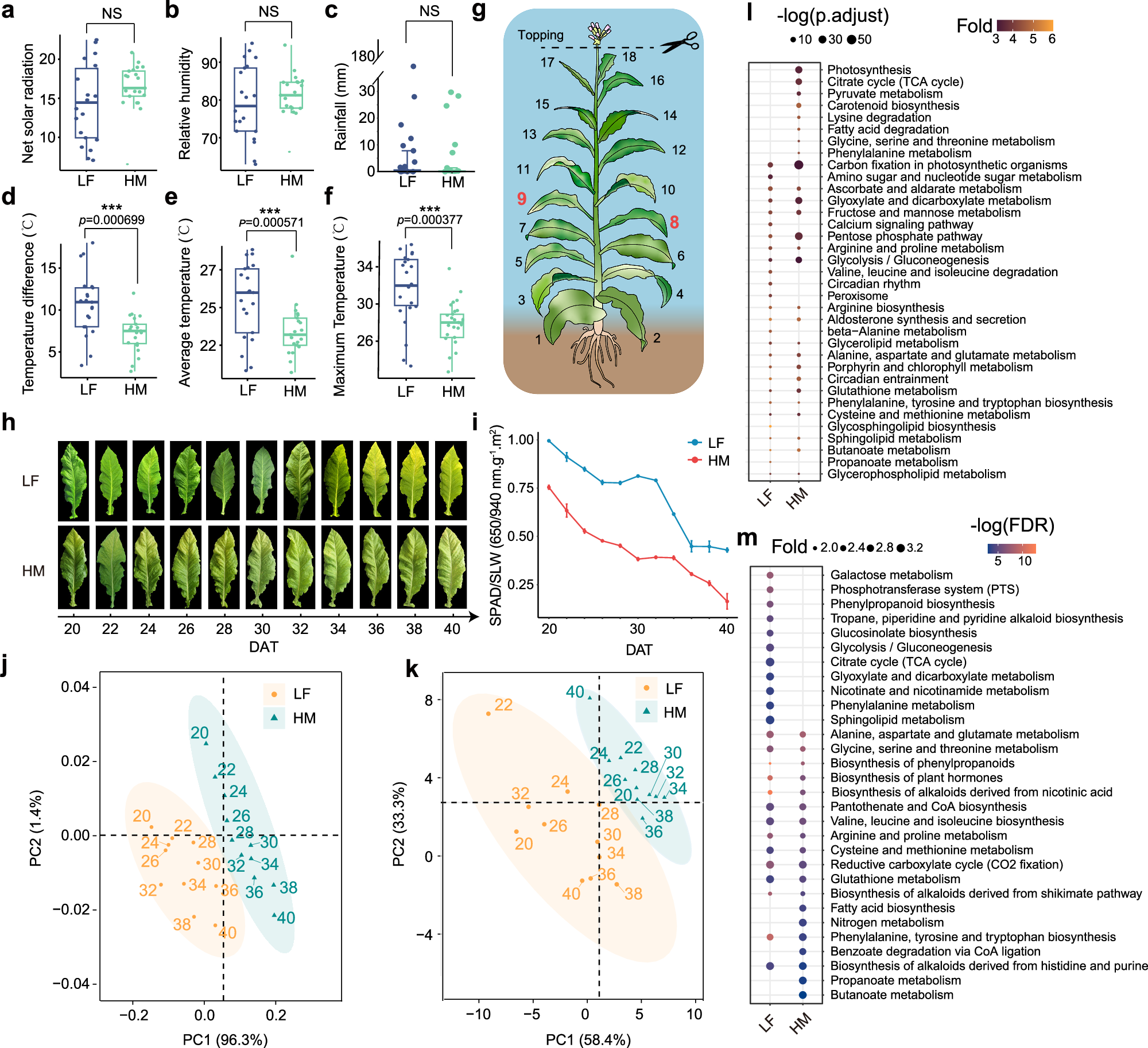 Multi-omics analyses reveal regulatory networks underpinning metabolite  biosynthesis in Nicotiana tabacum | Nature Communications