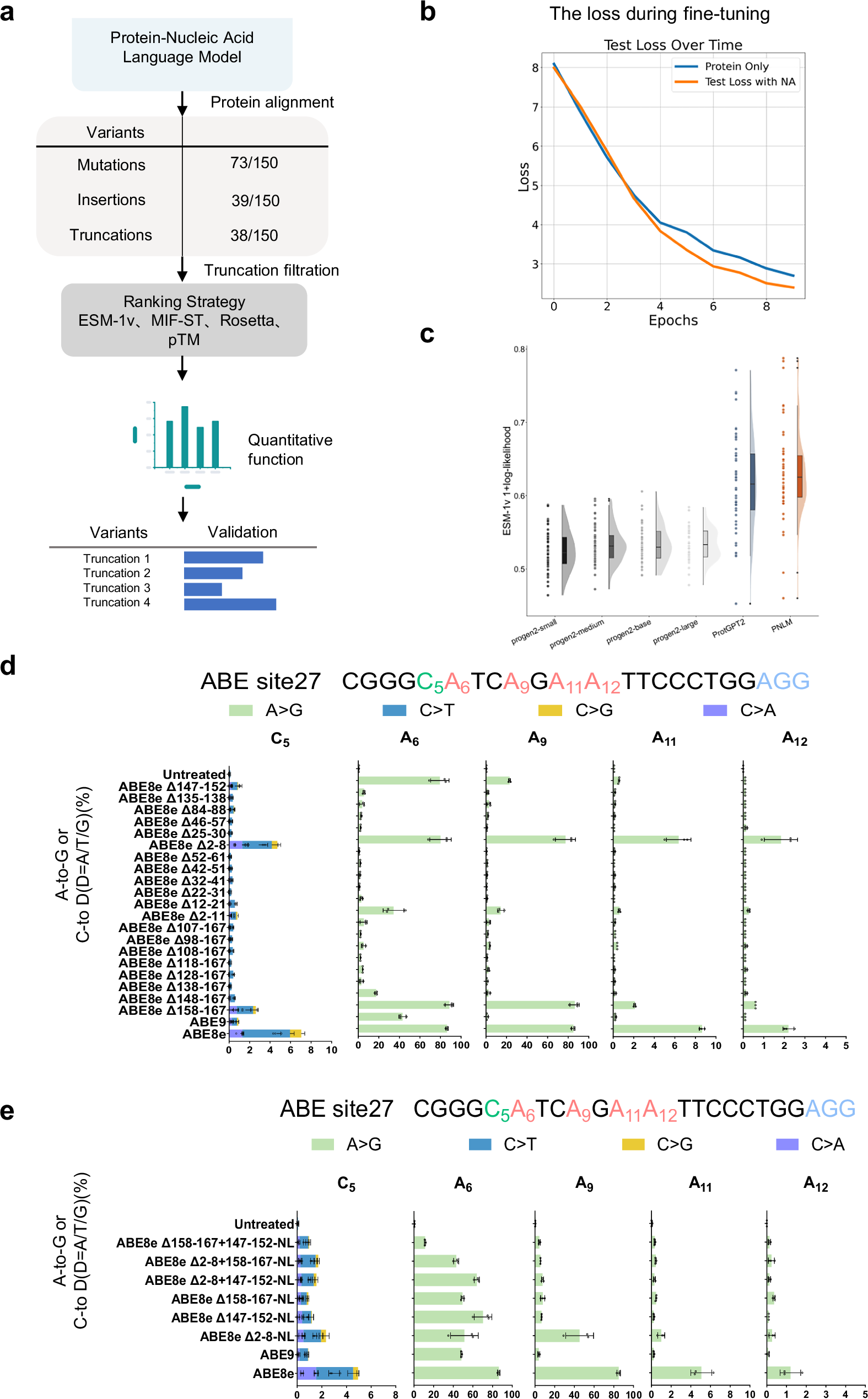 Fig. 2: Screening processes of efficient, precise and compact ABE variants.