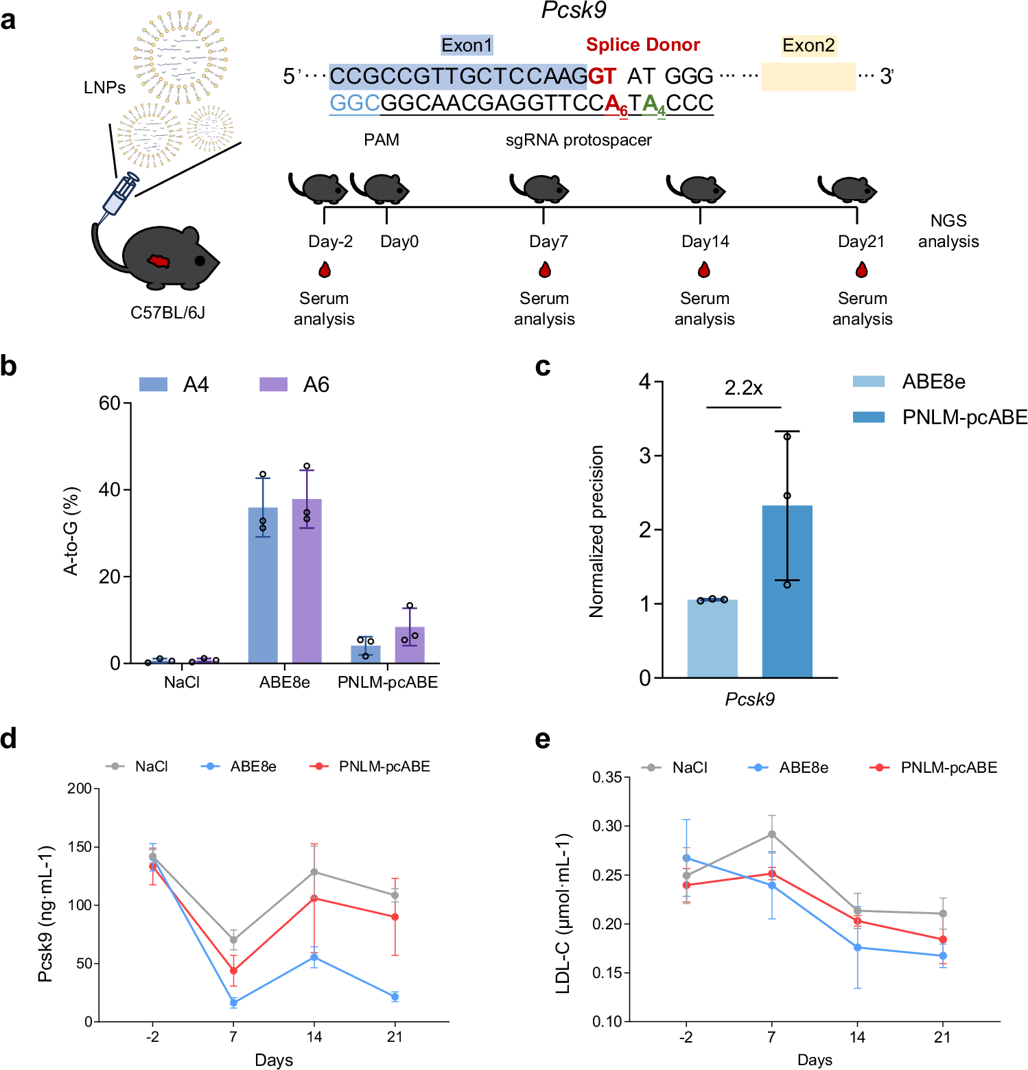 Fig. 7: Base editing mice Pcsk9 in vivo using PNLM-pcABE.