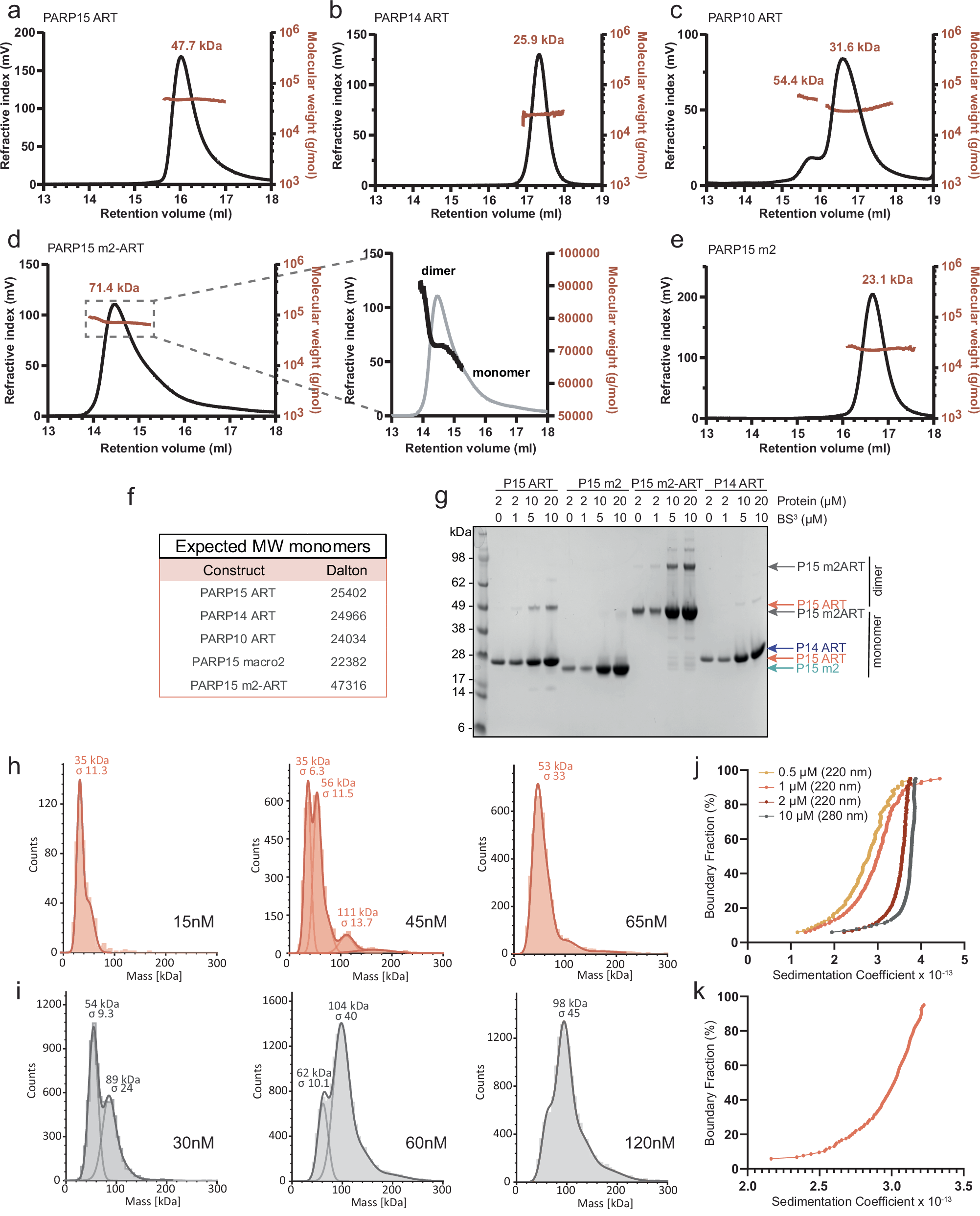 Fig. 1: PARP15 dimerizes via its ART domain.
