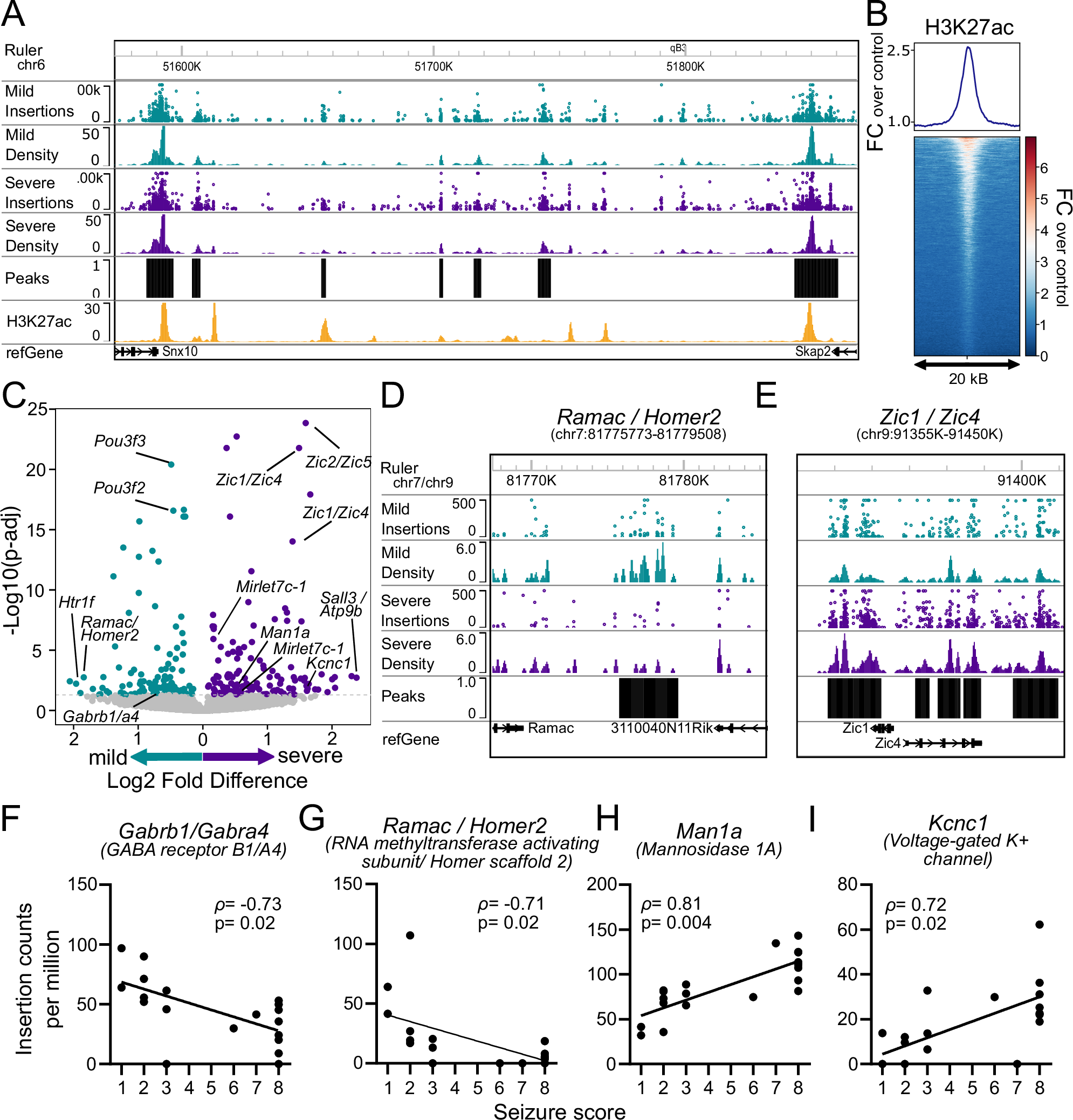 Fig. 3: Enhancer usage near hundreds of genes associates with seizure severity.