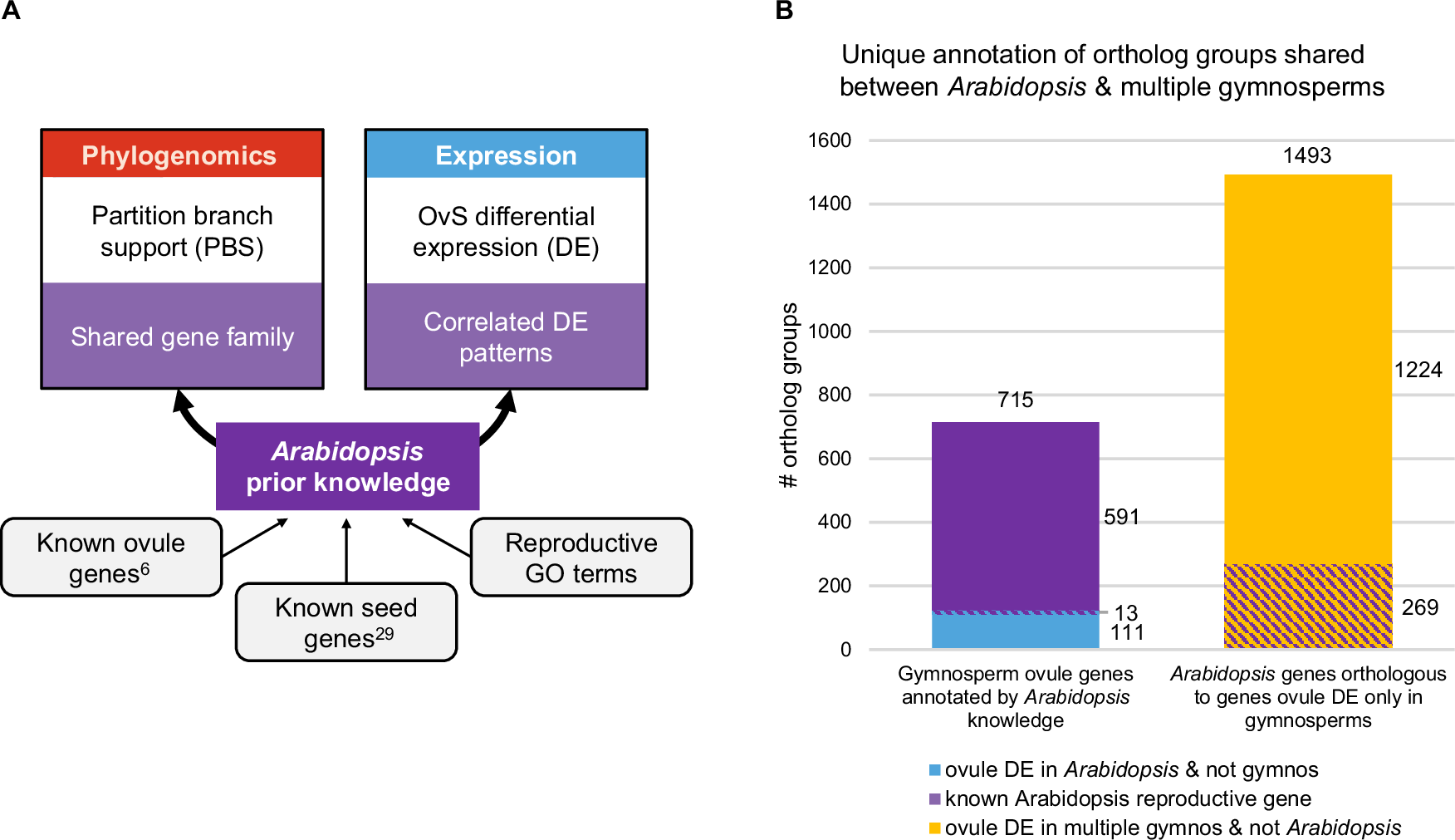 Fig. 5: Deep transcriptome analysis of 14 gymnosperm species identifies 1224 undocumented candidate ovule-regulated genes in Arabidopsis.