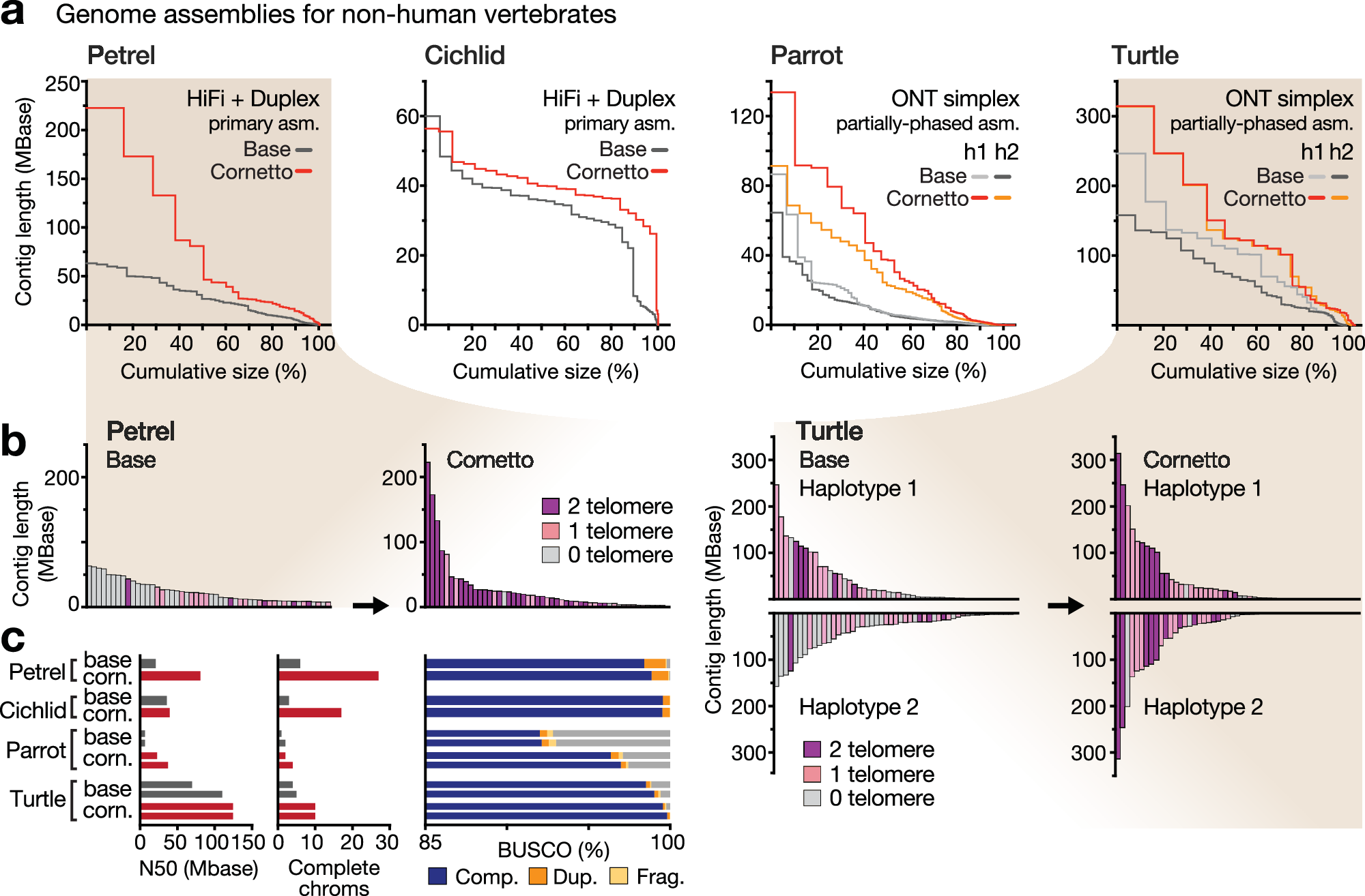 Fig. 6: Genome assemblies for non-human vertebrates.