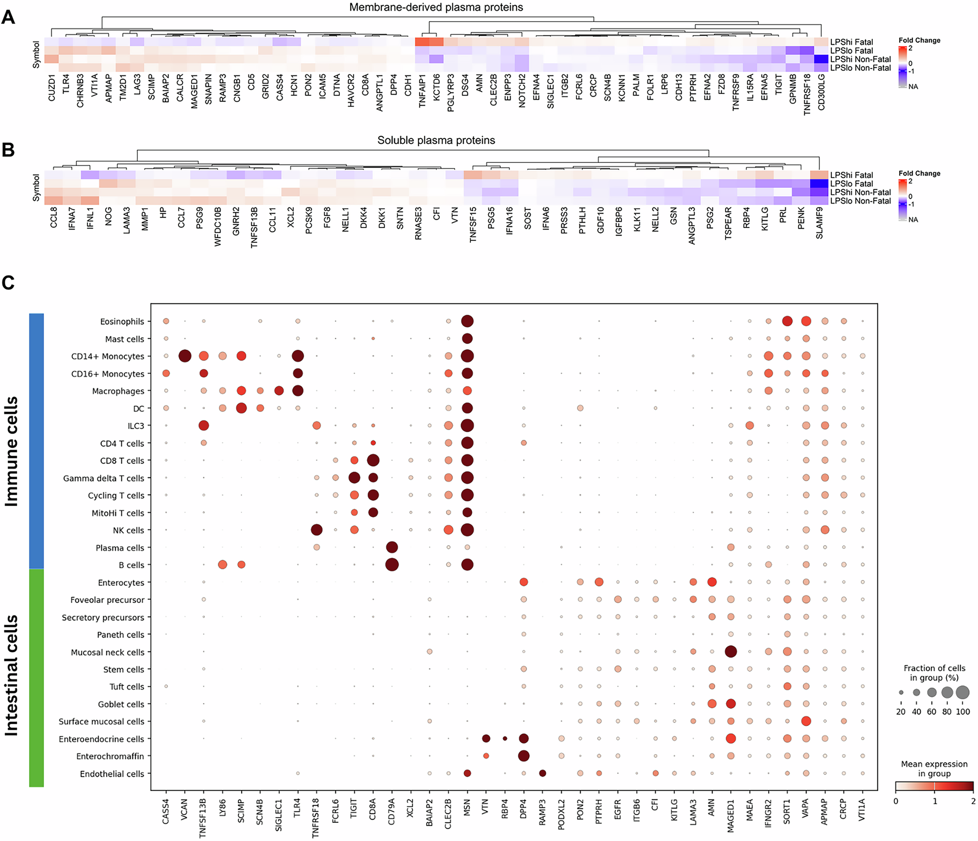 Fig. 5: Differentially abundant plasma proteins in LPShi Fatal cohort indicate a cross-talk between immune and intestinal cell types.