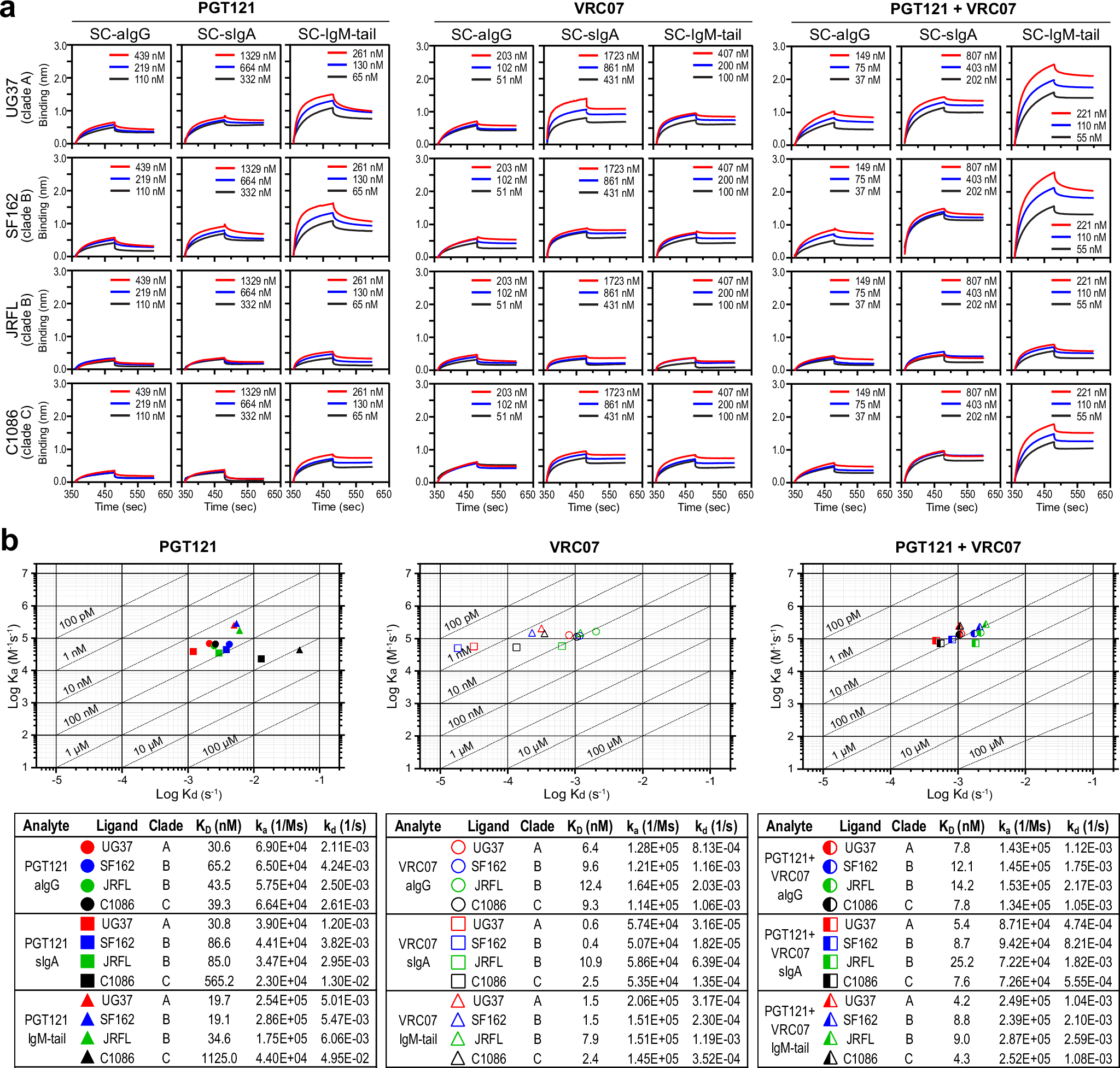 Fig. 4: Biolayer Interferometry (BLI) binding kinetics for PGT121 and VRC07 with different isotypes.