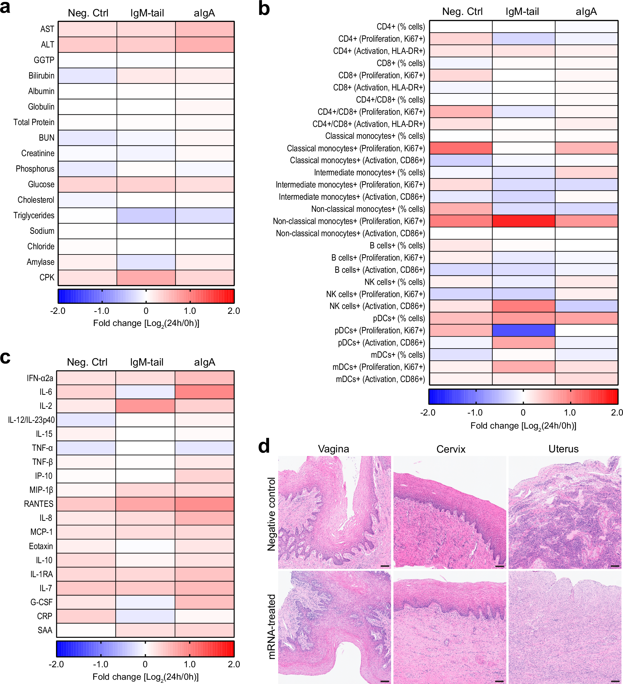 Fig. 7: Assessment of systemic and local toxicity of intravaginally delivered mRNA in female rhesus macaques.