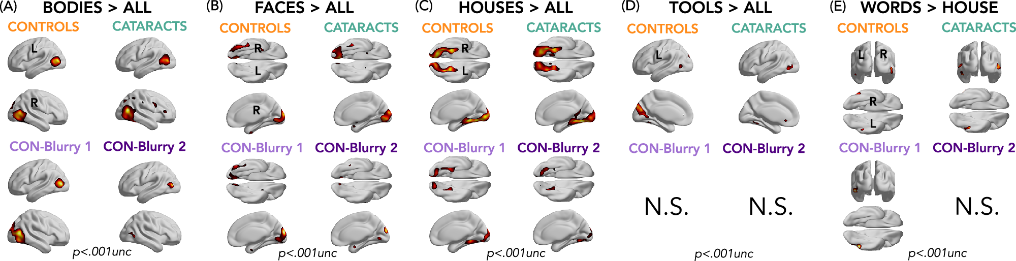 Fig. 3: Results from univariate analyses across categories.