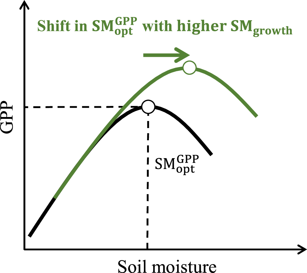 Fig. 2: Conceptual framework for the change in gross primary productivity (GPP)-soil moisture response curve due to water acclimation of 
                      
                        
                      
                      $${{{{\rm{SM}}}}}_{{{{\rm{opt}}}}}^{{{{\rm{GPP}}}}}$$
                      
                        
                          
                            SM
                          
                          
                            opt
                          
                          
                            GPP
                          
                        
                      
                    .