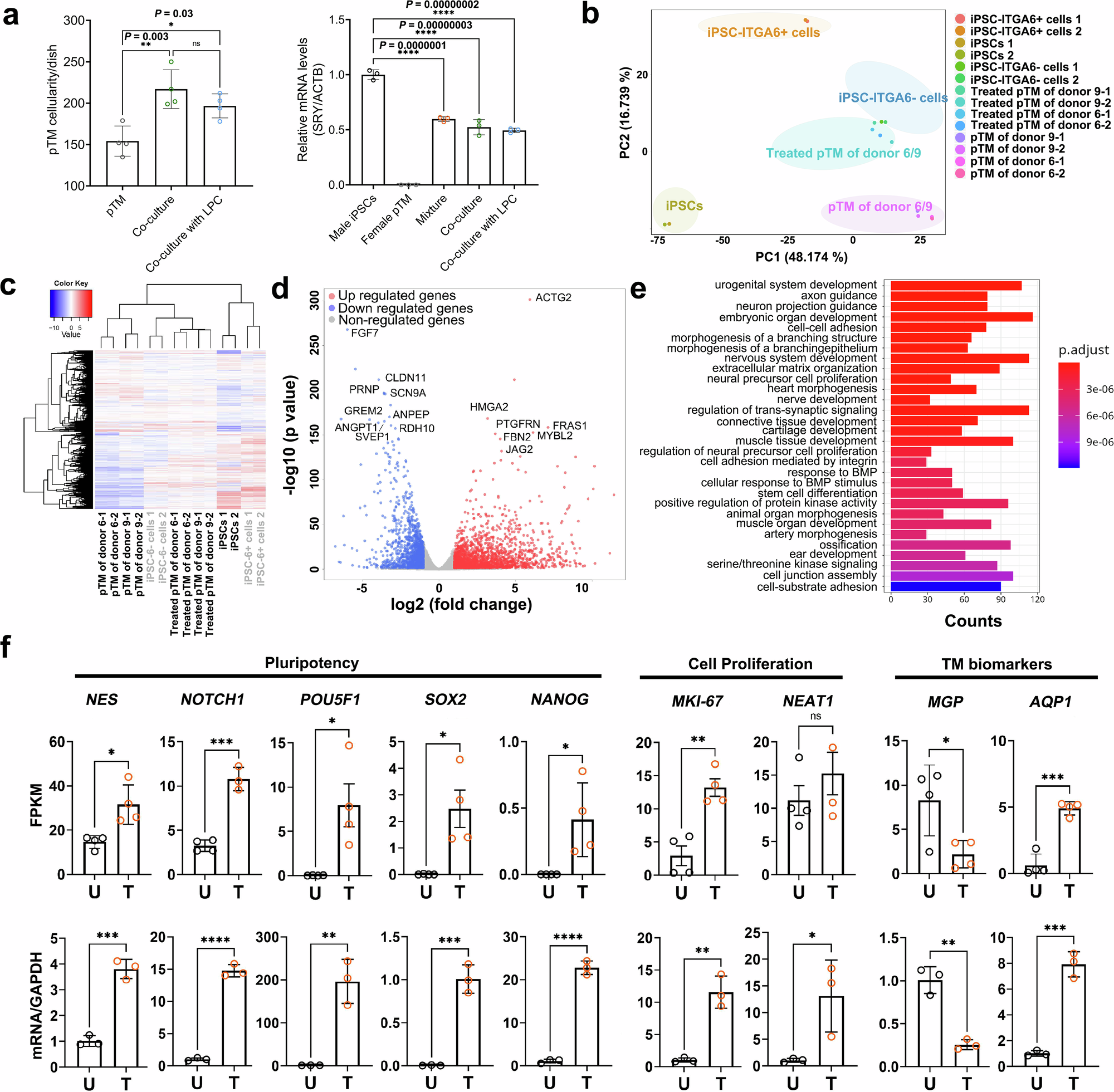 Fig. 6: Transcriptomic changes in co-cultured pTM.