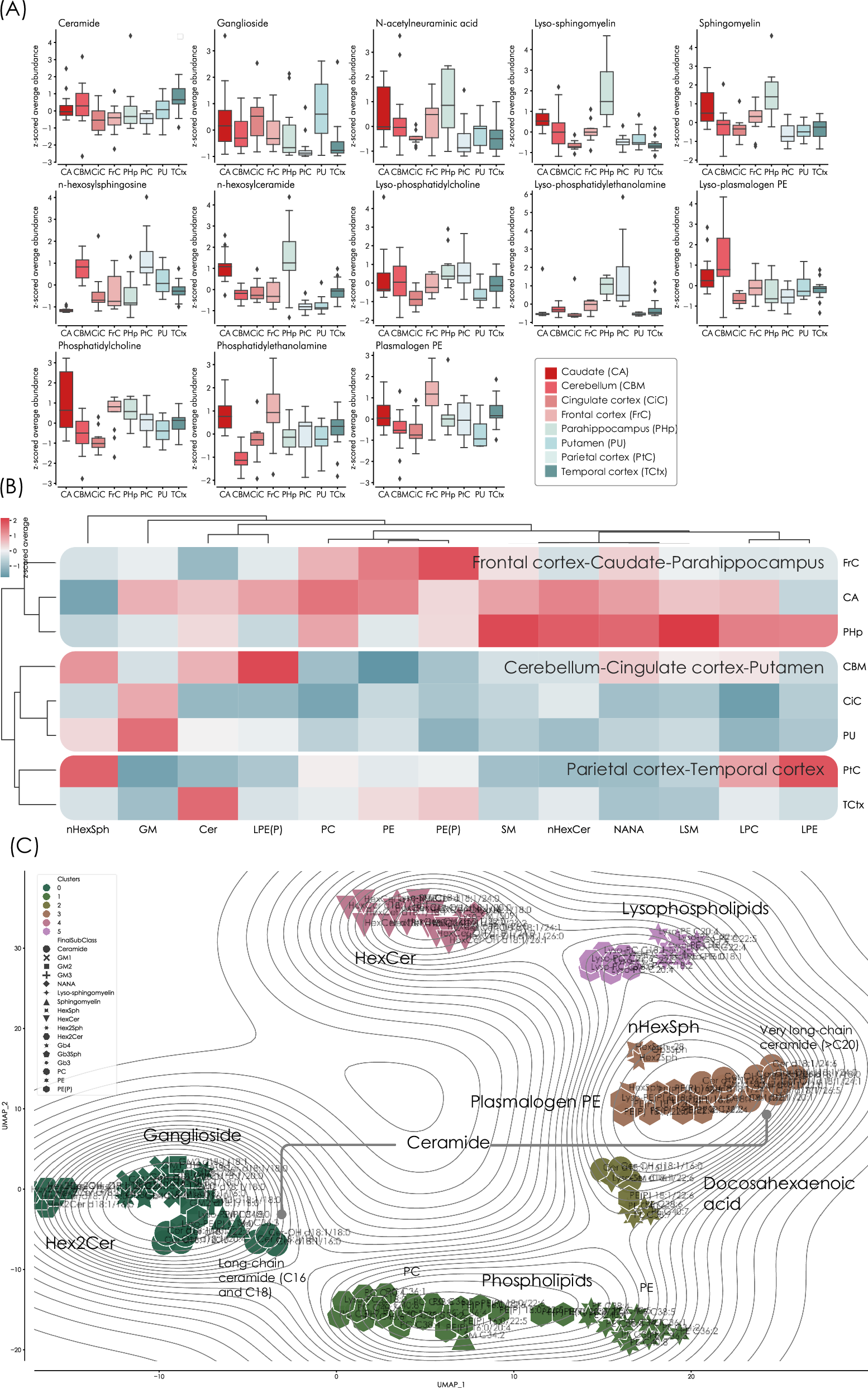 Fig. 1: Lipid abundance in control brains without brain pathology.