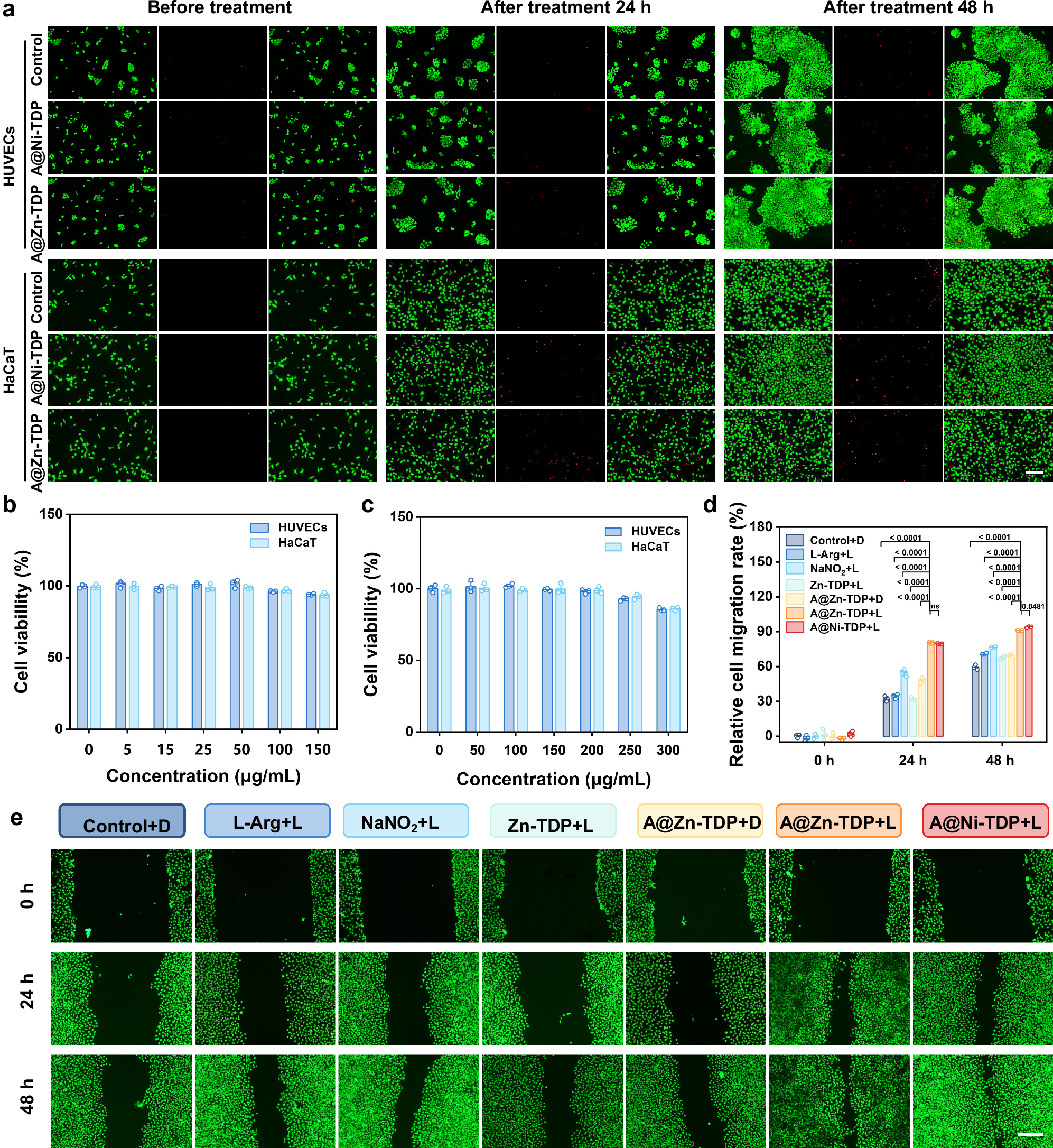Fig. 7: Evaluation of cell safety and migration activities.