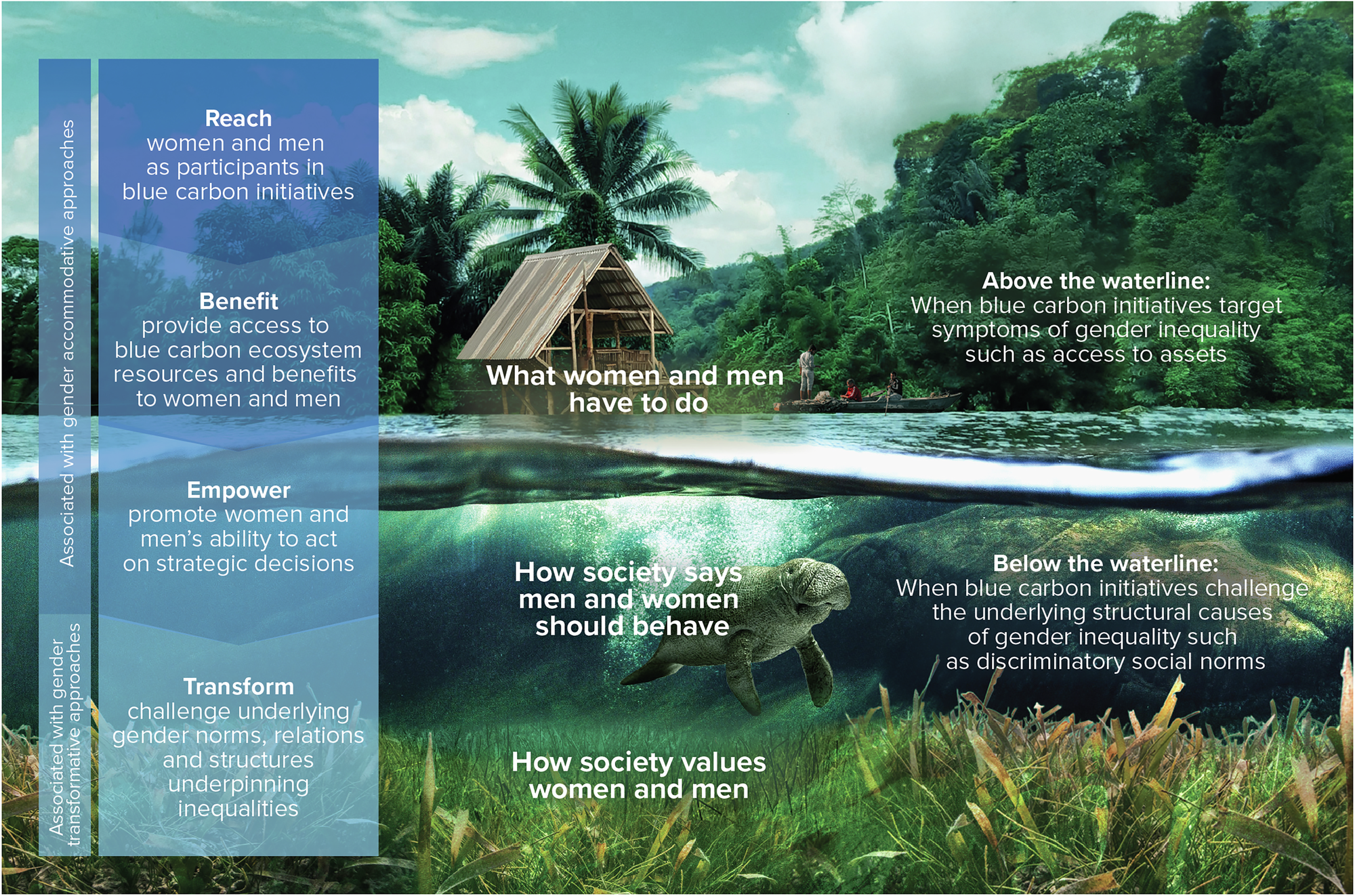 Fig. 1: Reach, Benefit, Empower and Transform Framework for considering gender in blue carbon initiatives.