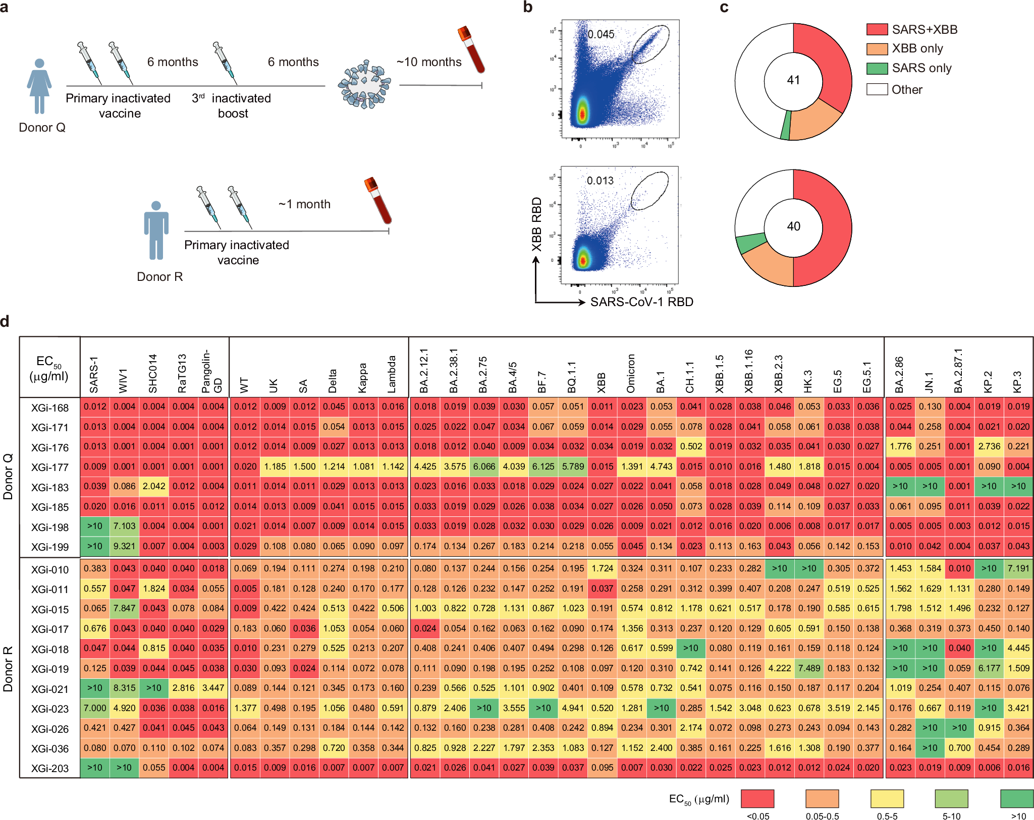Fig. 2: Broadly RBD-binding antibodies are persistent and primary vaccine-inducible.