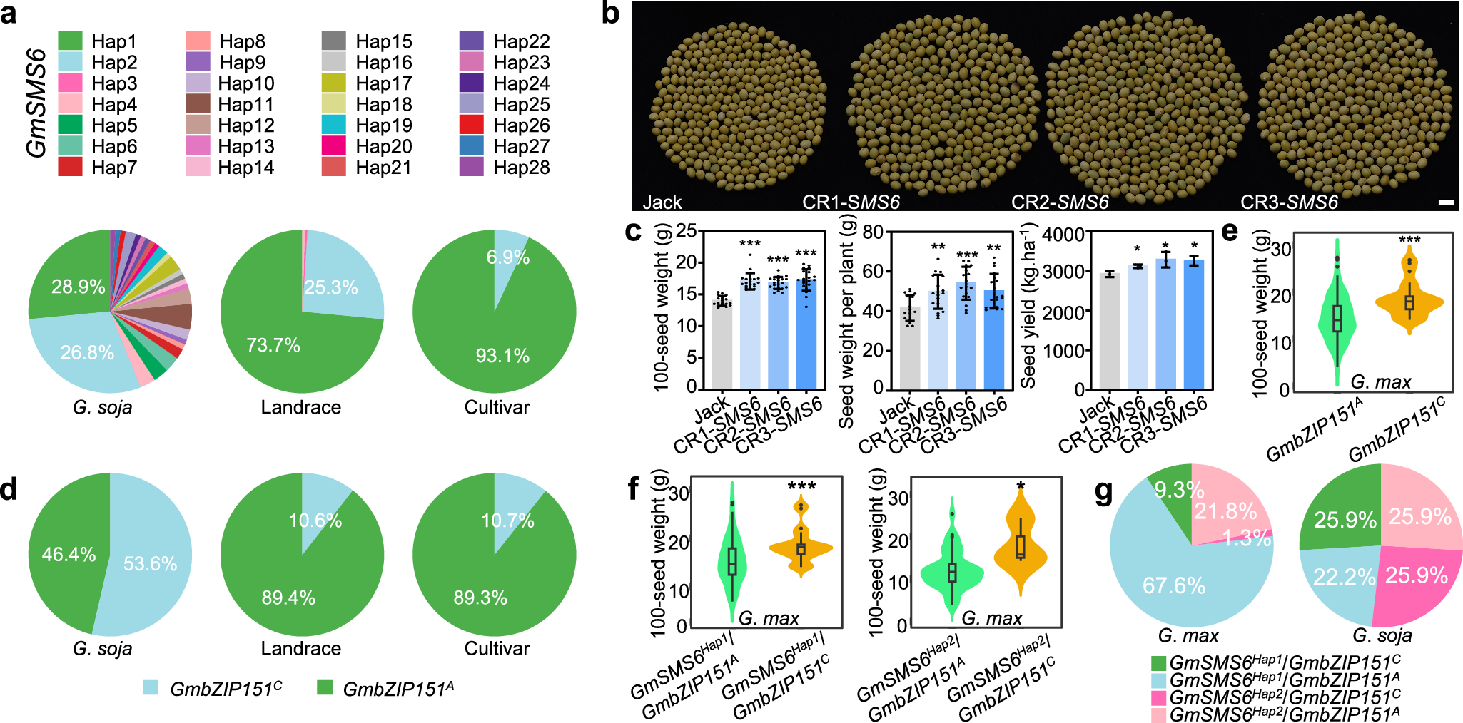 Fig. 7: Haplotype combinations associated with soybean seed weight variation.