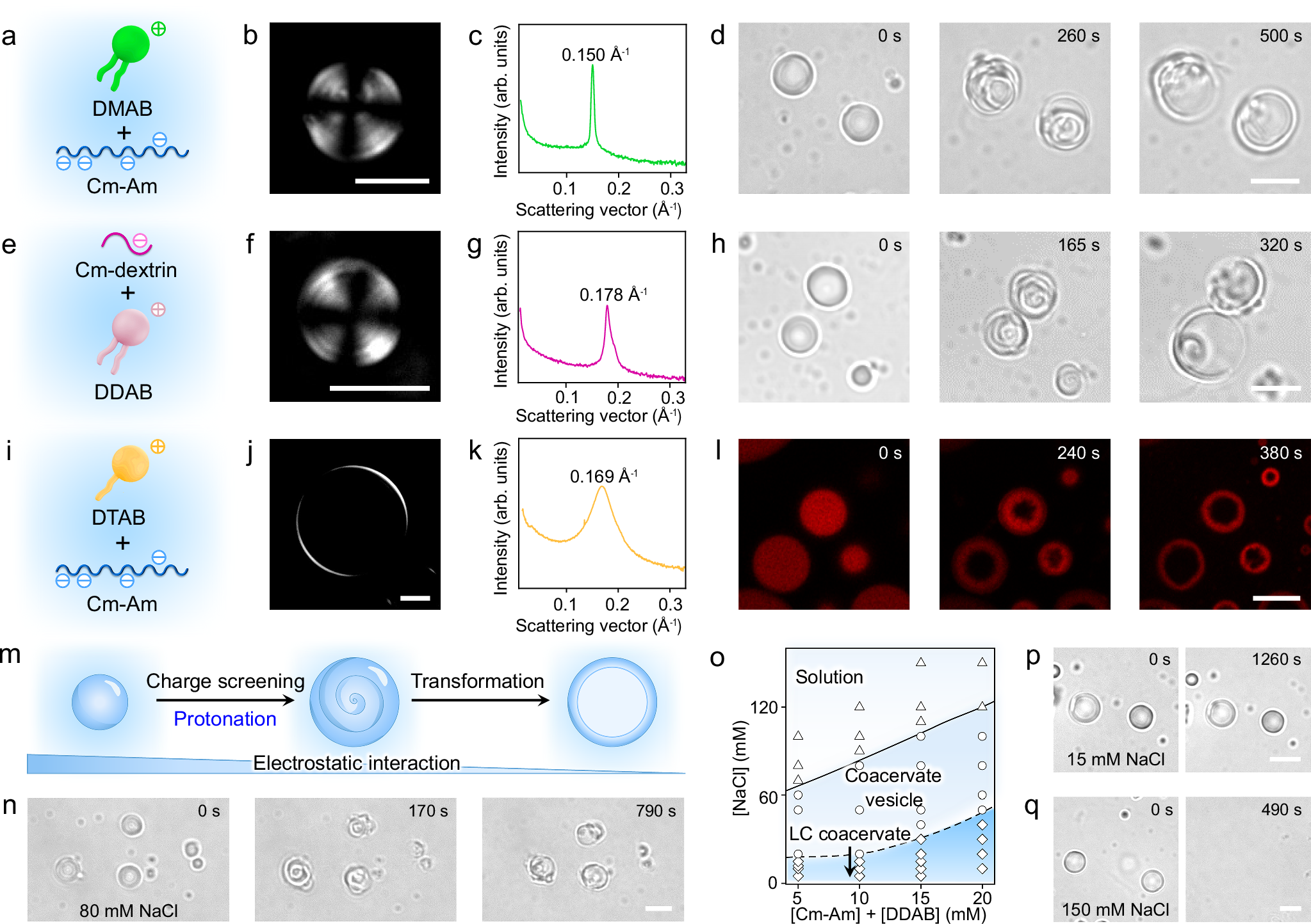 Fig. 4: Structural transition of LC microdroplets under varied conditions.