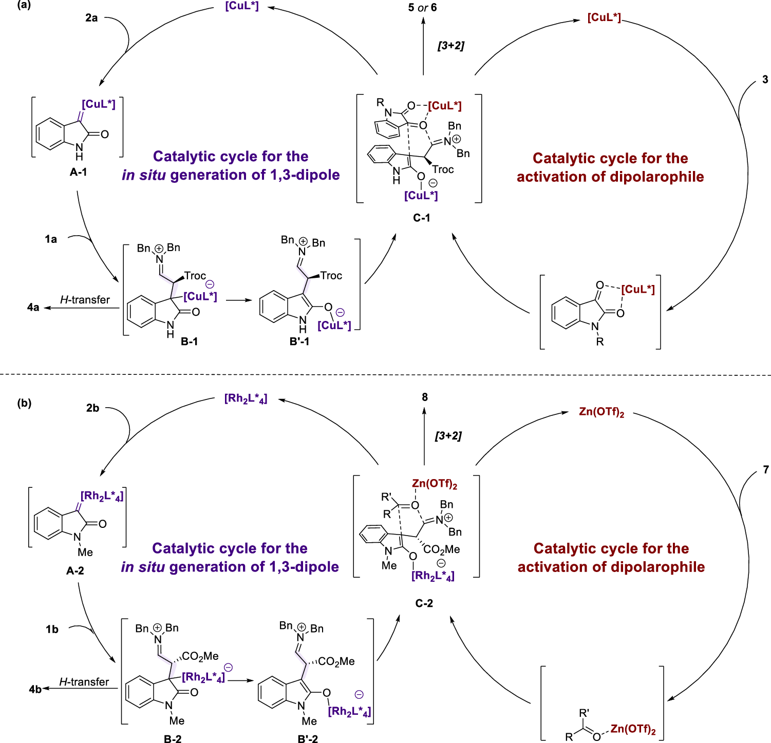 Fig. 5: Proposed reaction mechanism.