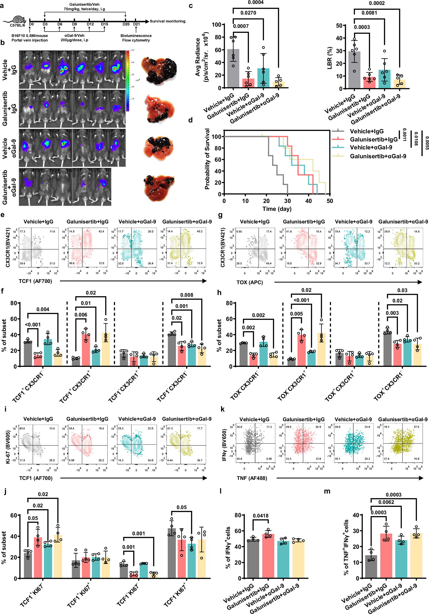 Fig. 6: Both αGal-9 and Galunisertib monotherapies reduced liver metastases.