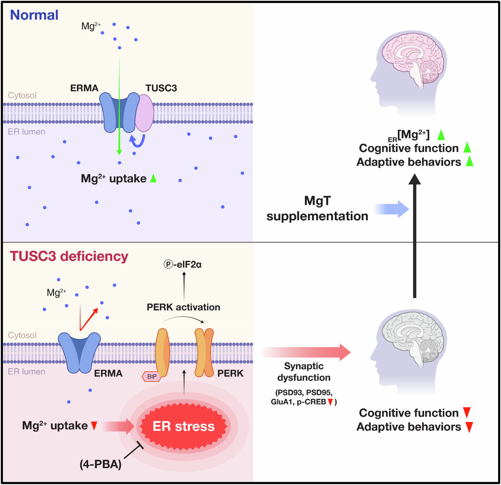 Fig. 7: Working model.