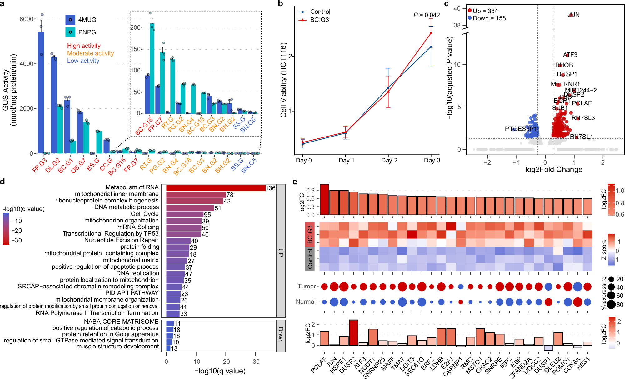 Fig. 6: Functional validation of gmGUSs and the preliminary role of gmGUS on CRC cells.