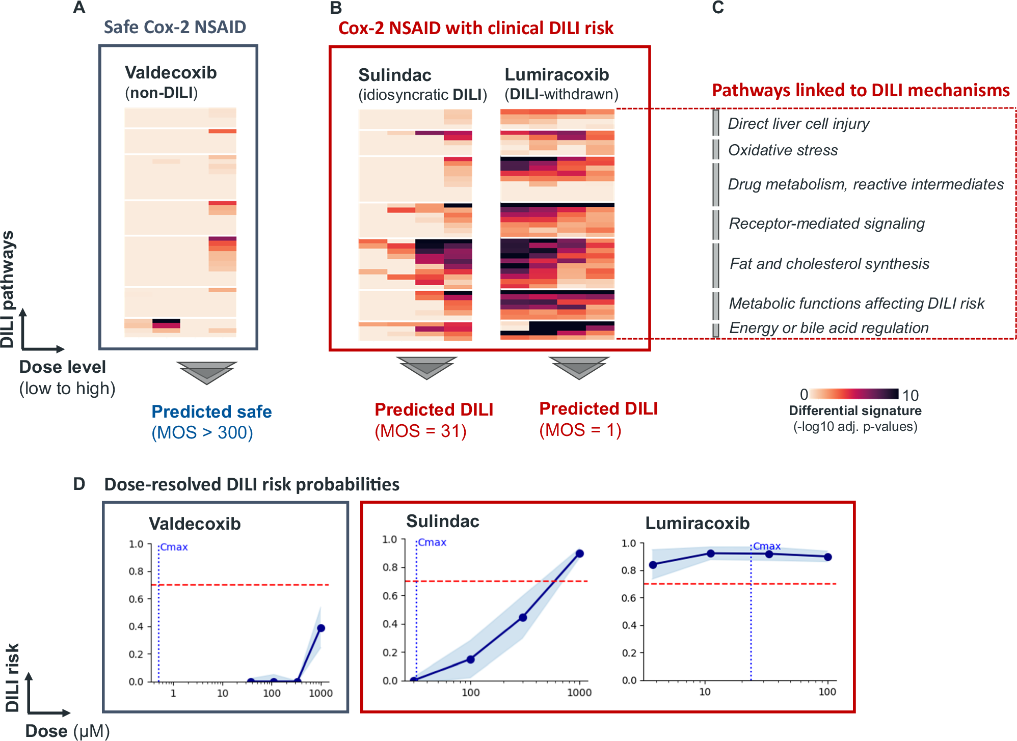 Fig. 3: Three Cox2-inhibitors with the same target but distinct DILI profiles.