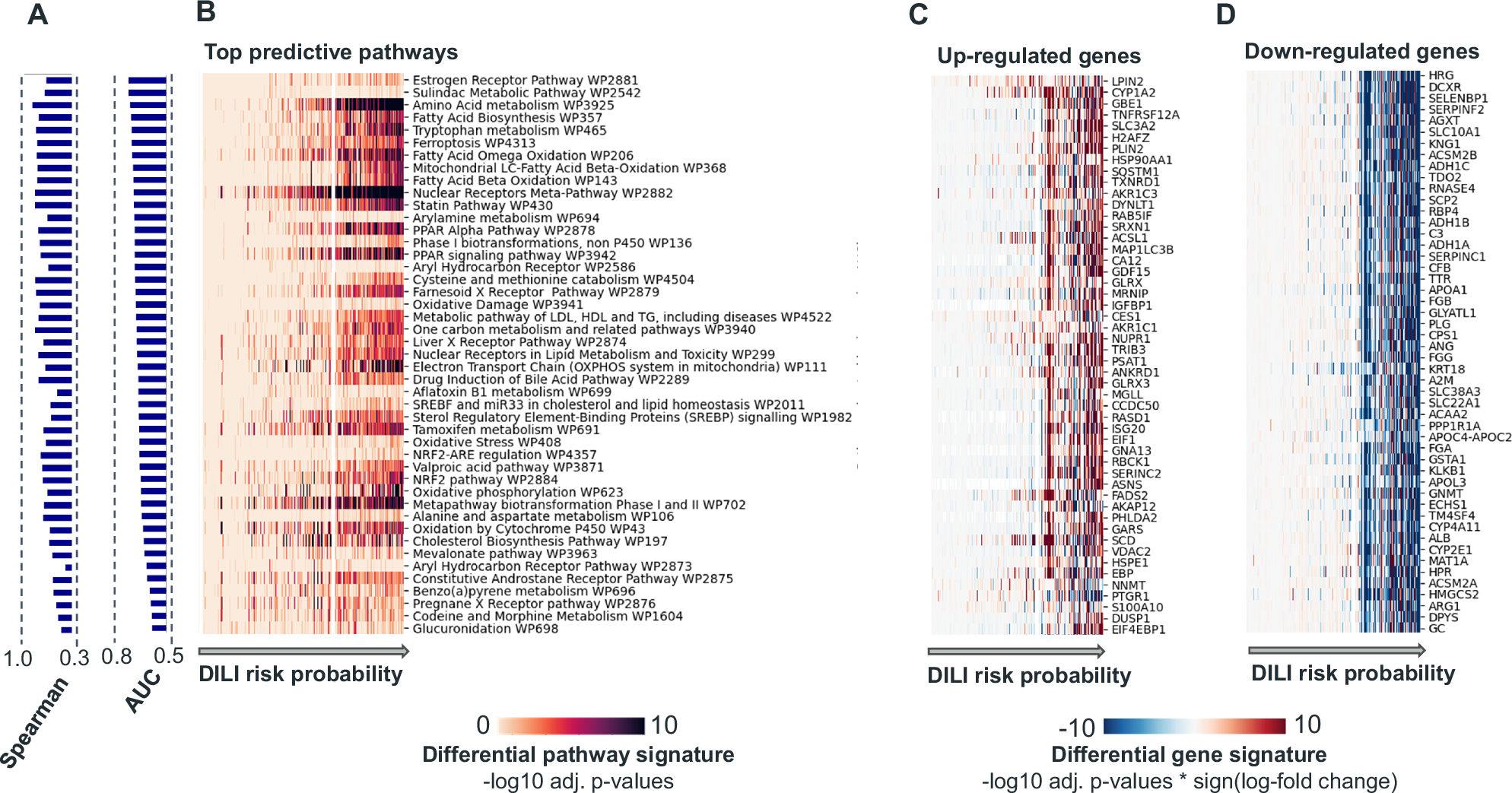 Fig. 4: Key pathway activations and genes frequently implicated in DILI.